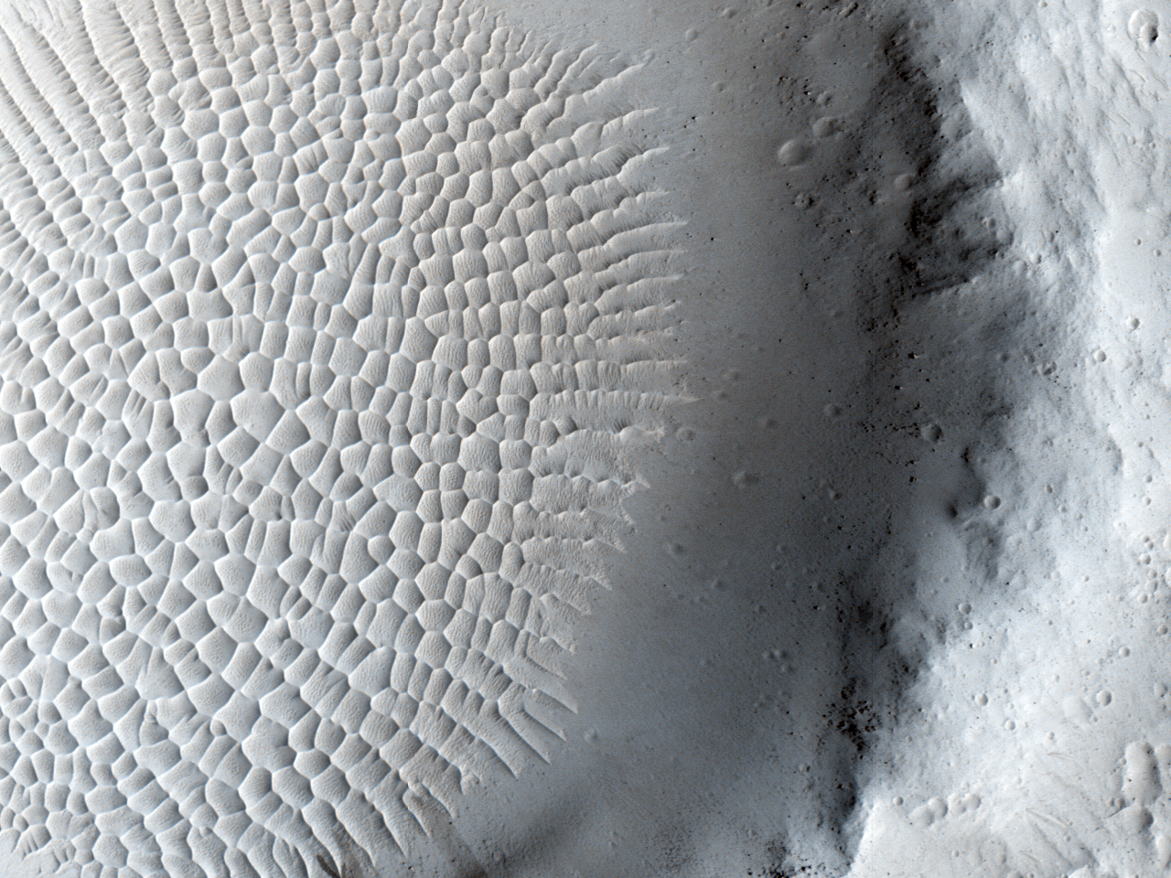 Kratergolv i Amazonis Planitia