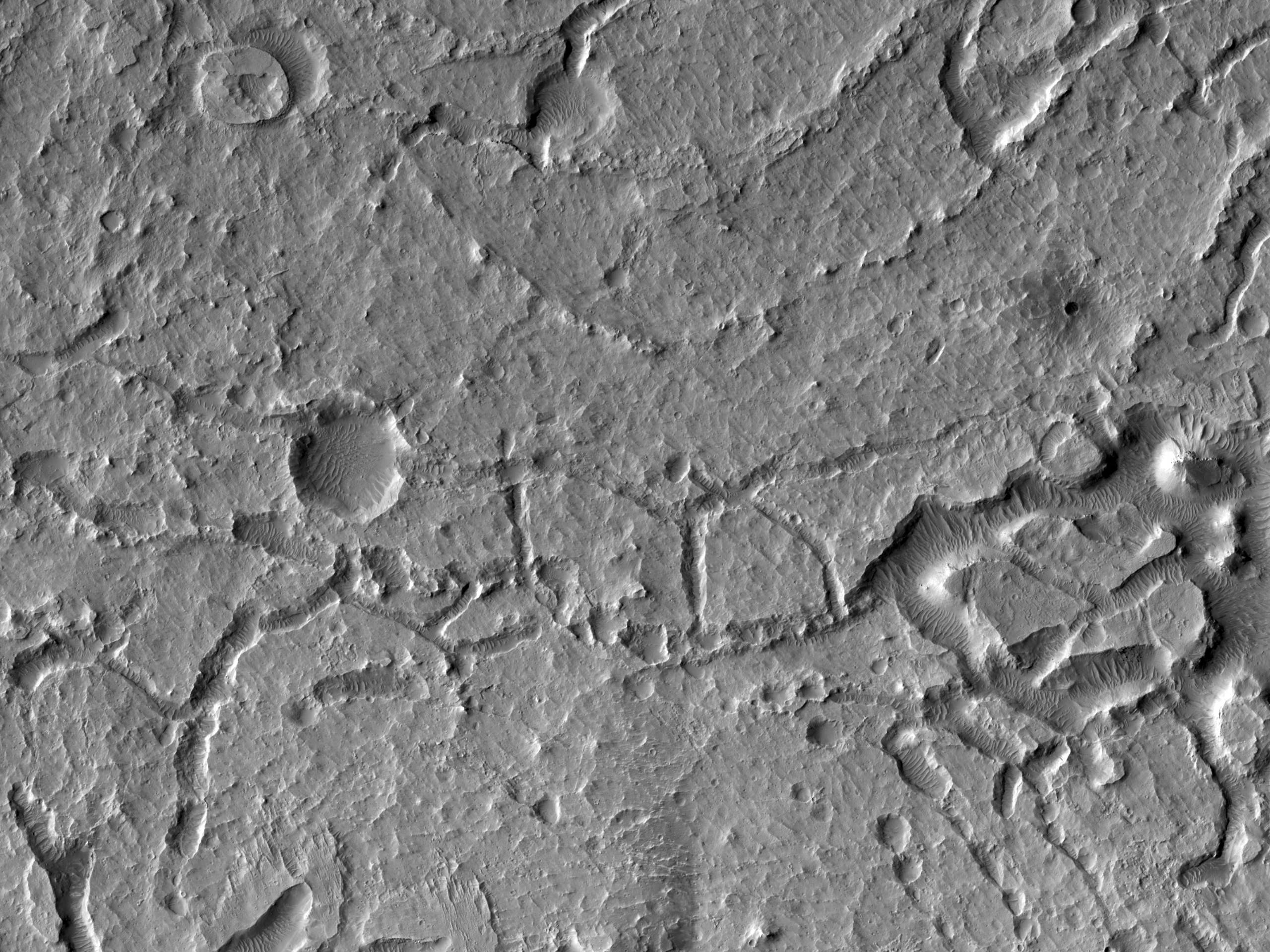 A Collection of Landforms in Eastern Elysium Planitia