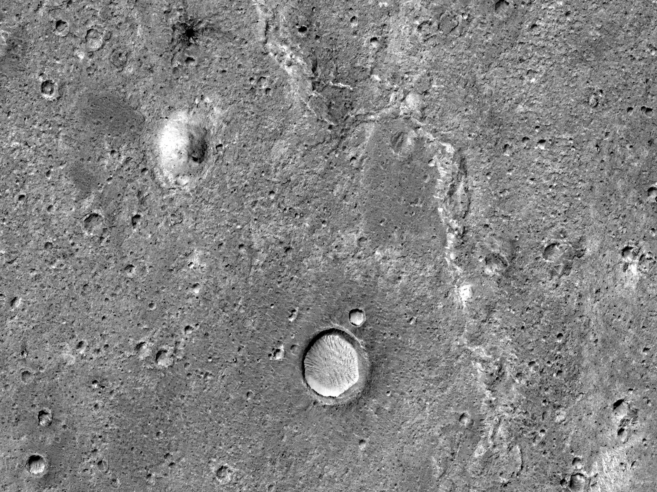 Candidate Landing Site for 2020 Mission in Hypanis Valles Delta