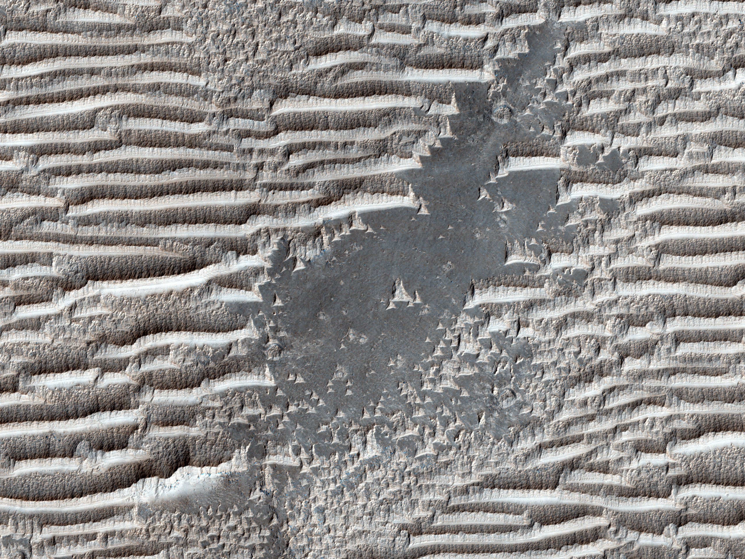 Bizarre TARs