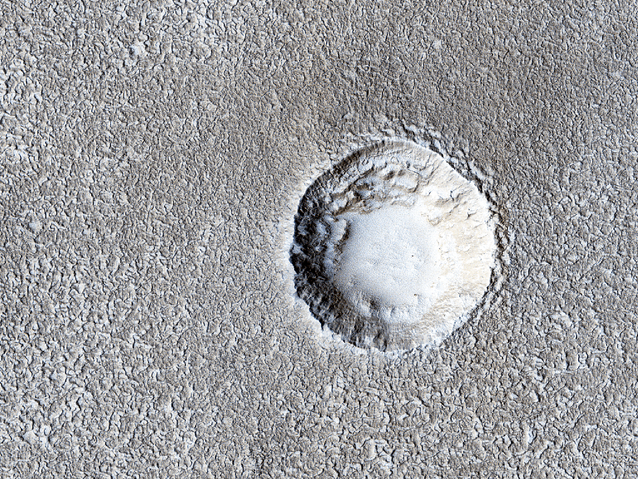 Kowdoll Liesterrashes Possybyl yn Arcadia Planitia