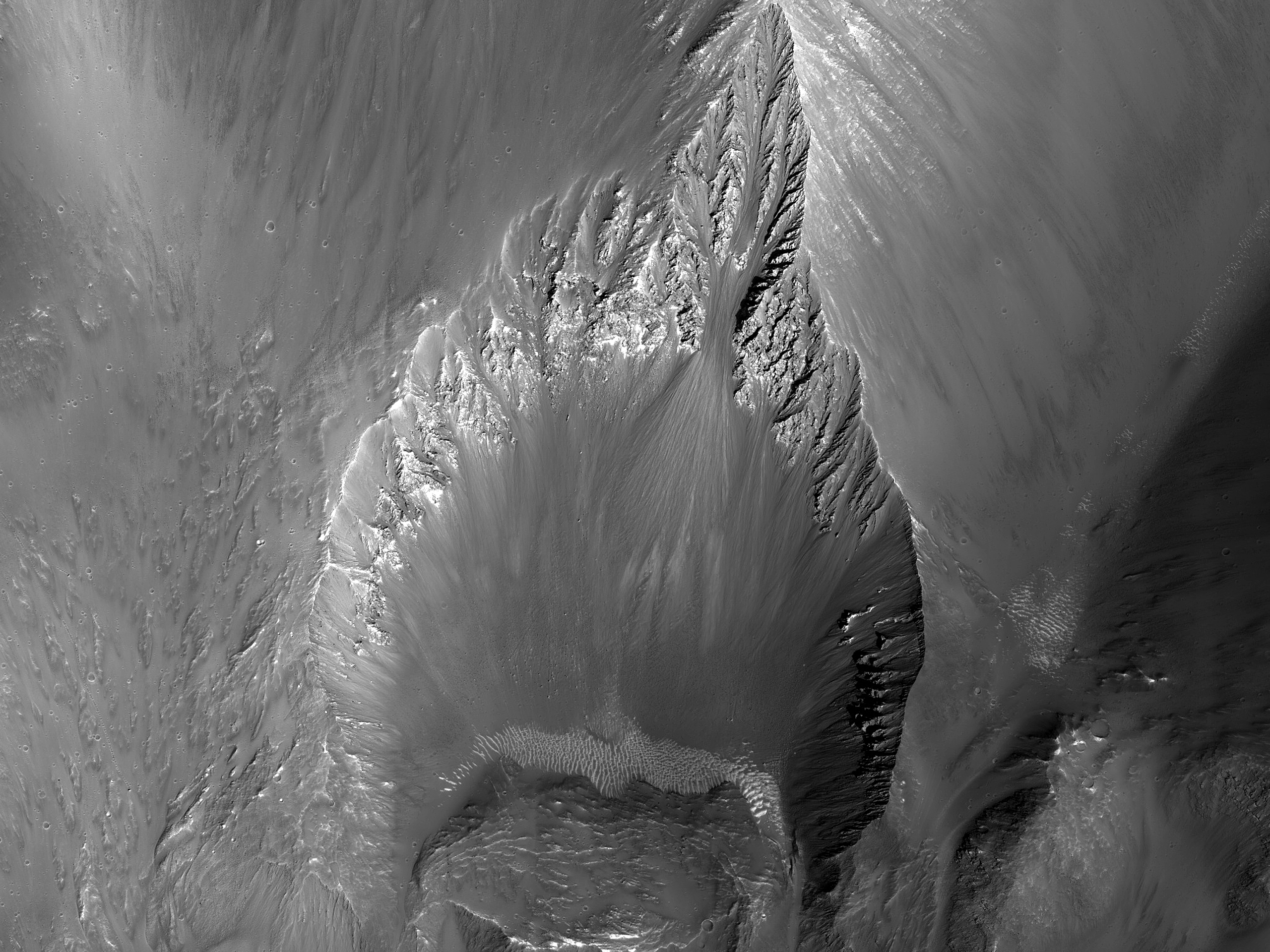 On the Shape of Impact Craters