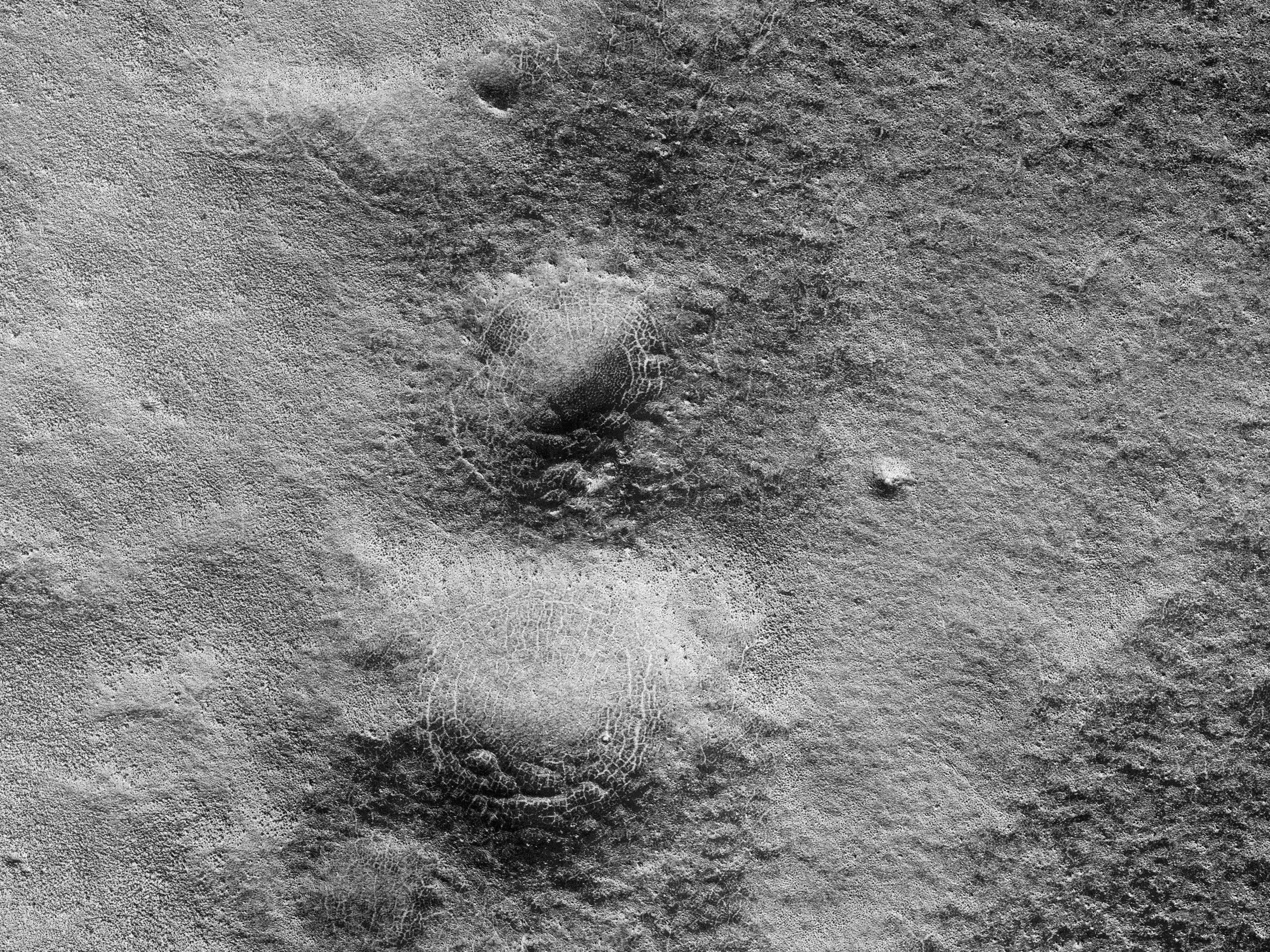 Spider Webs of the Red Planet