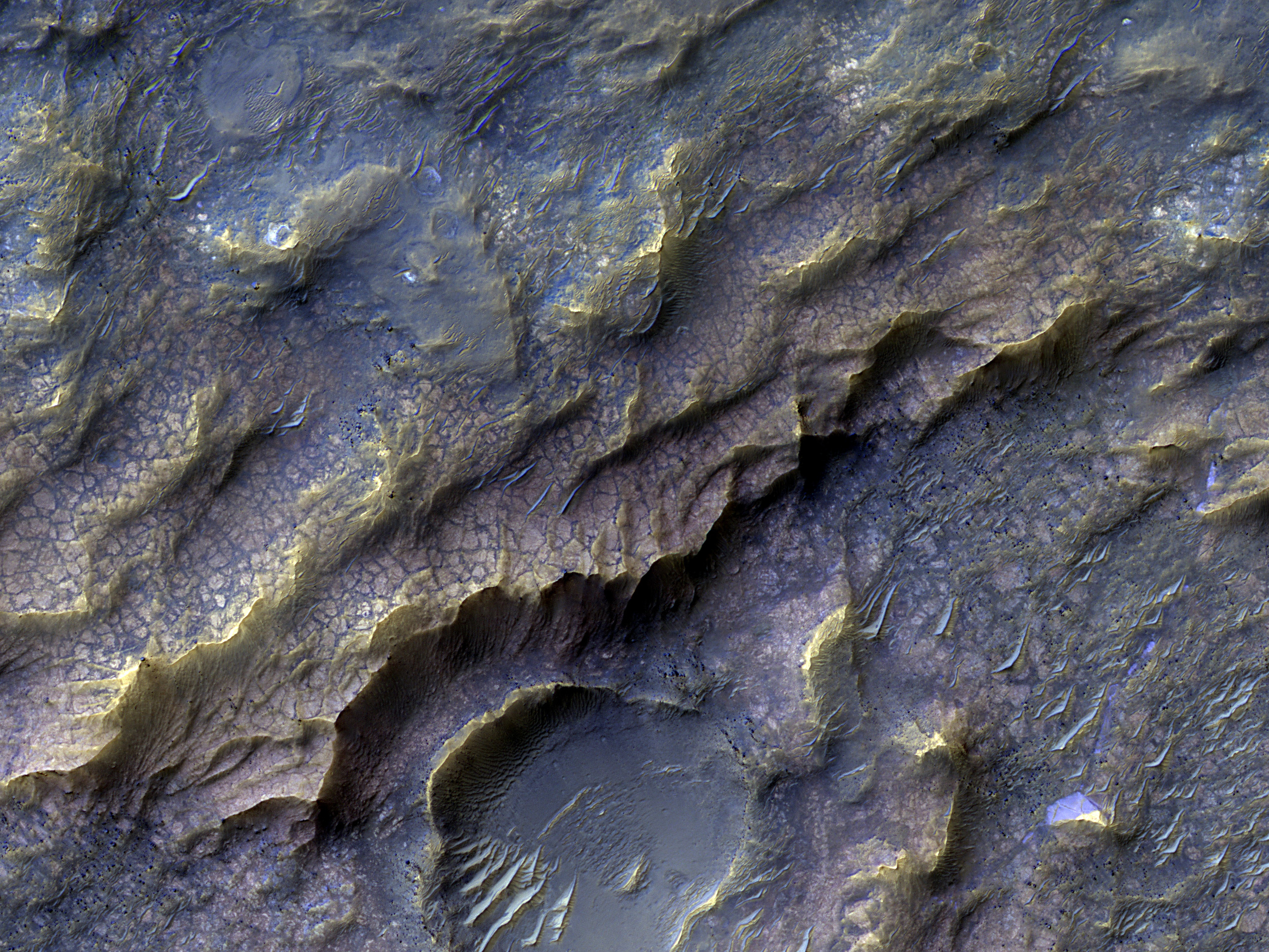 Dragon Scales of Mars