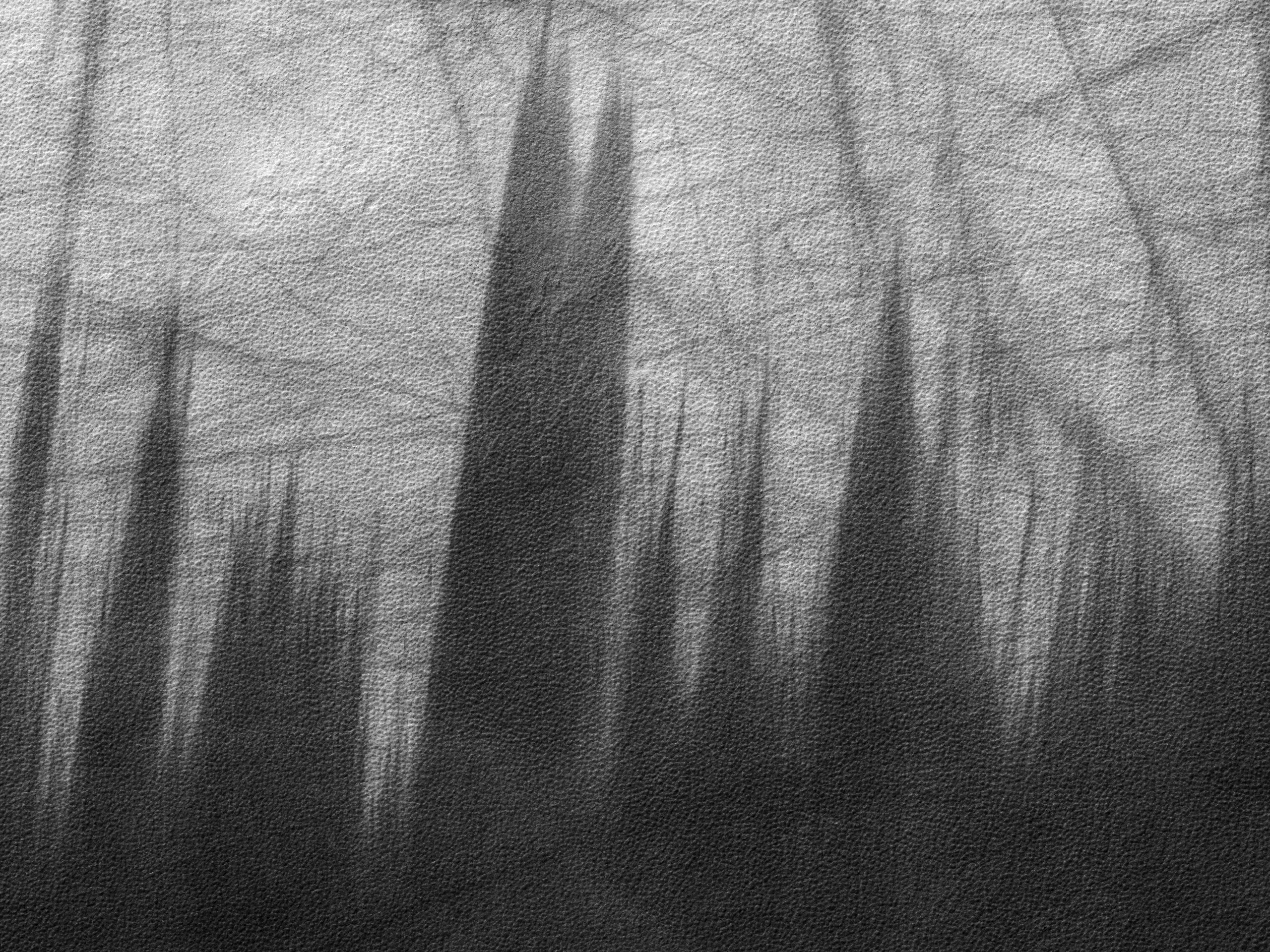 The “Specters” of Mars