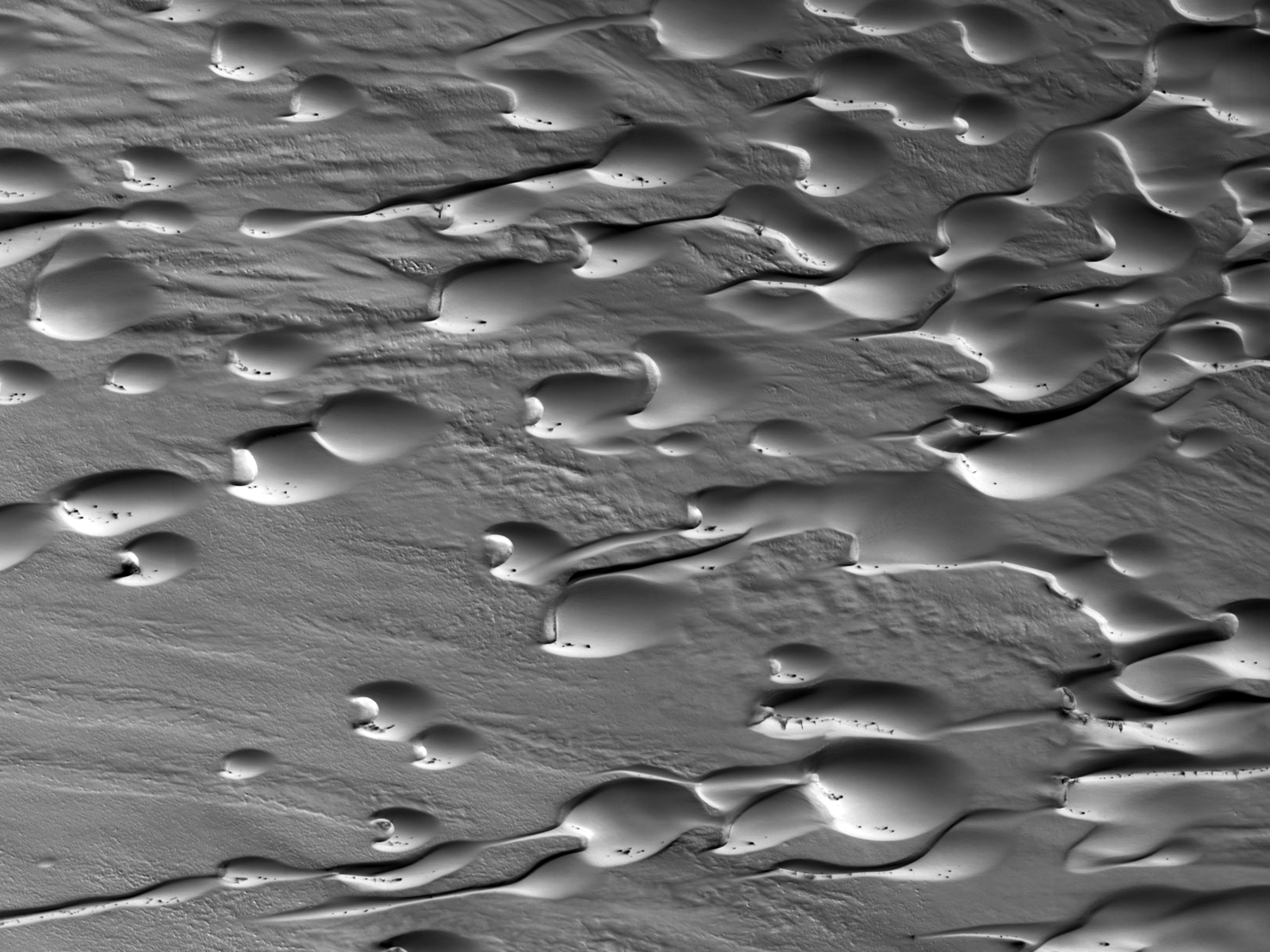 Παρατηρώντας μεταβολές στις θίνες στο εσωτερικό του Βορείου Χάσματος (Chasma Boreale)