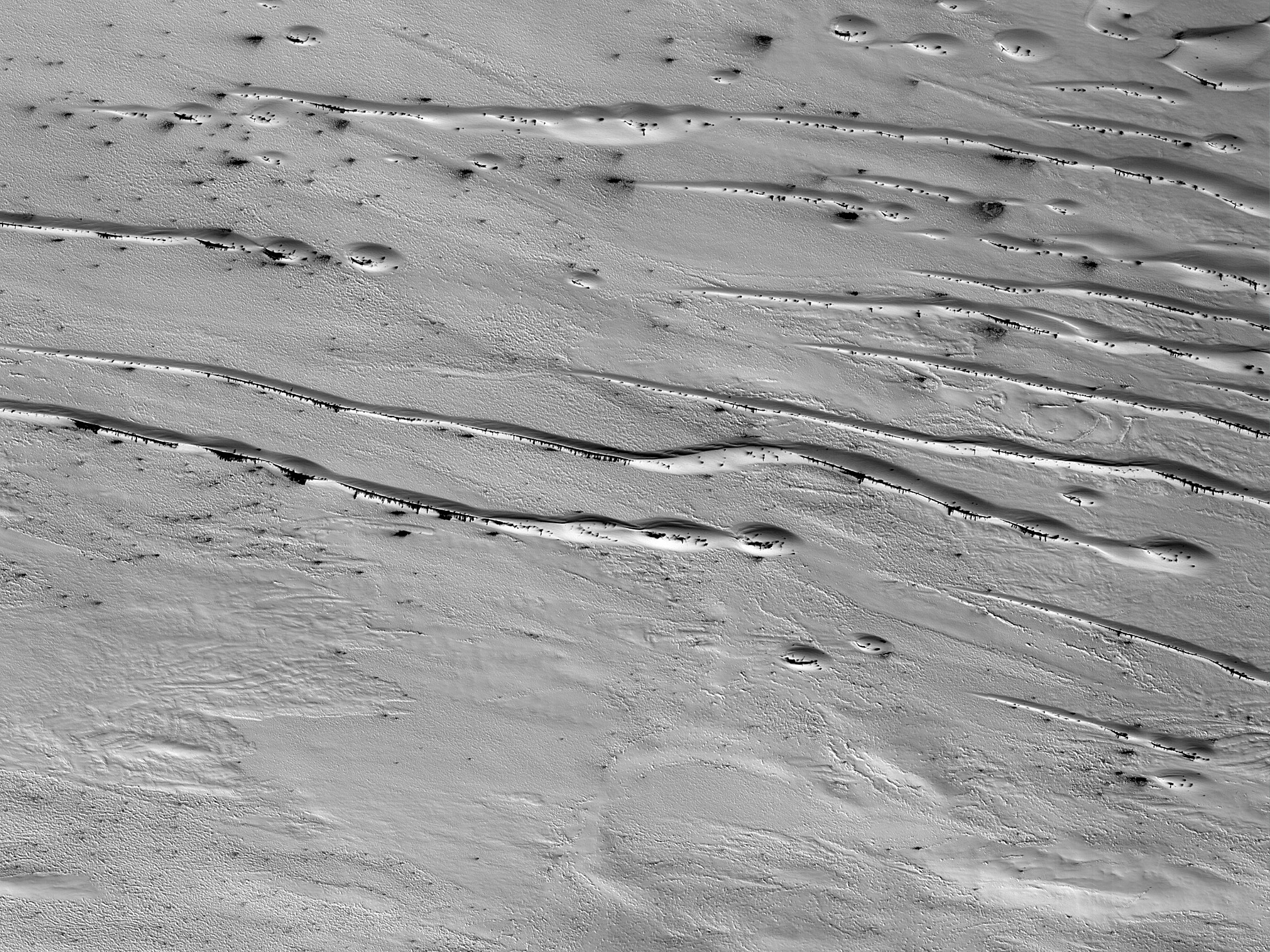 Defrosting Dunes within Chasma Boreale