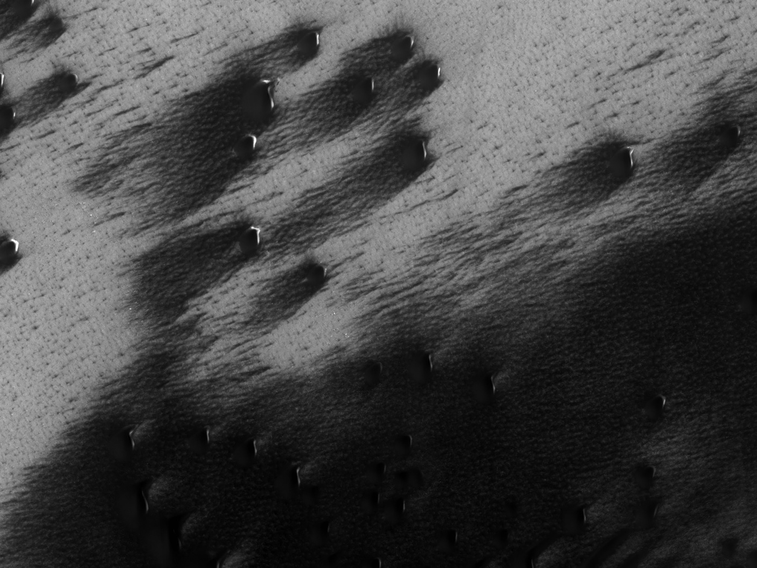 Homoktakaró széle a Mars északi sarkvidéki területén