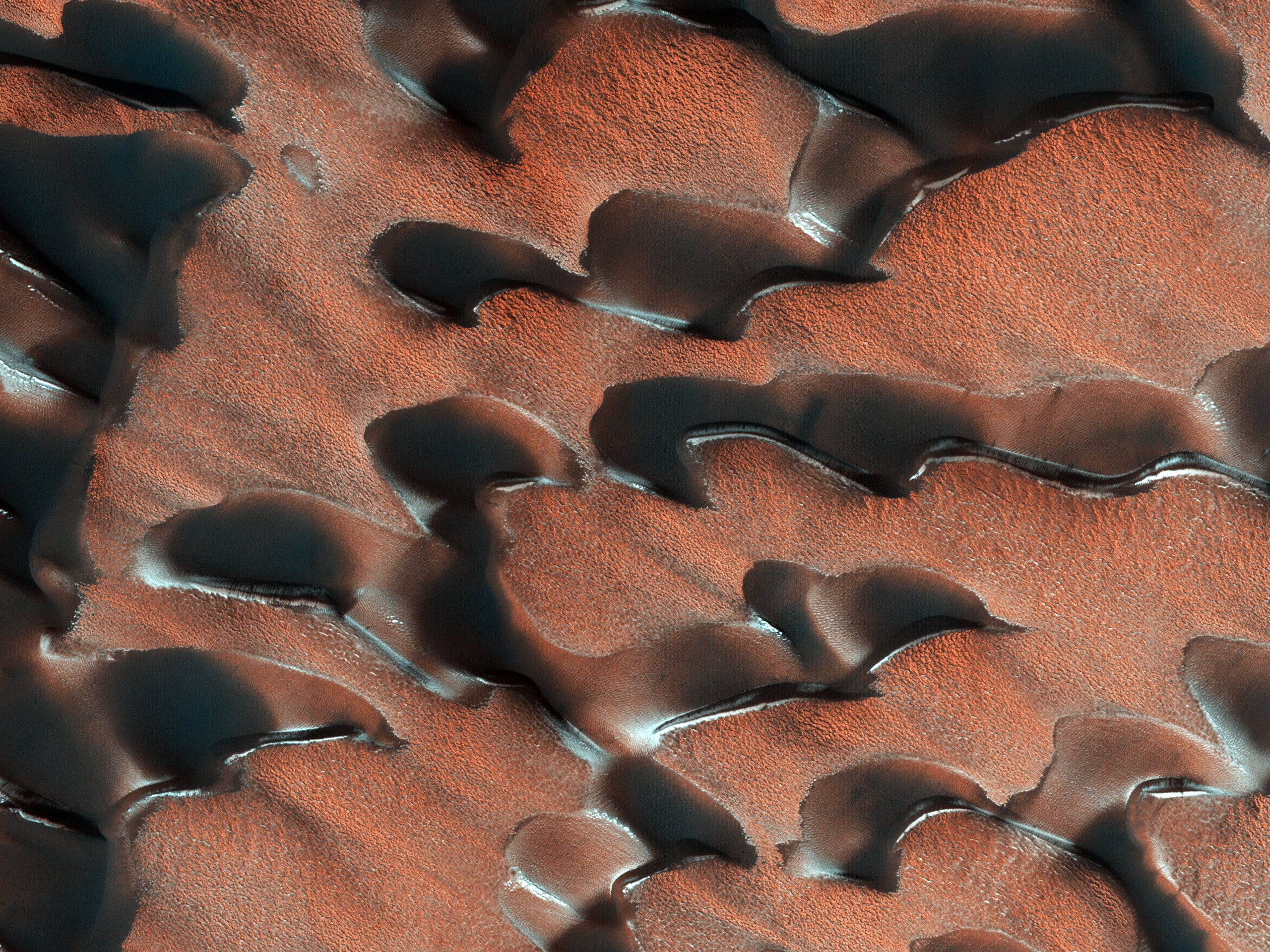 Polvere e brina nel Polo Nord di Marte