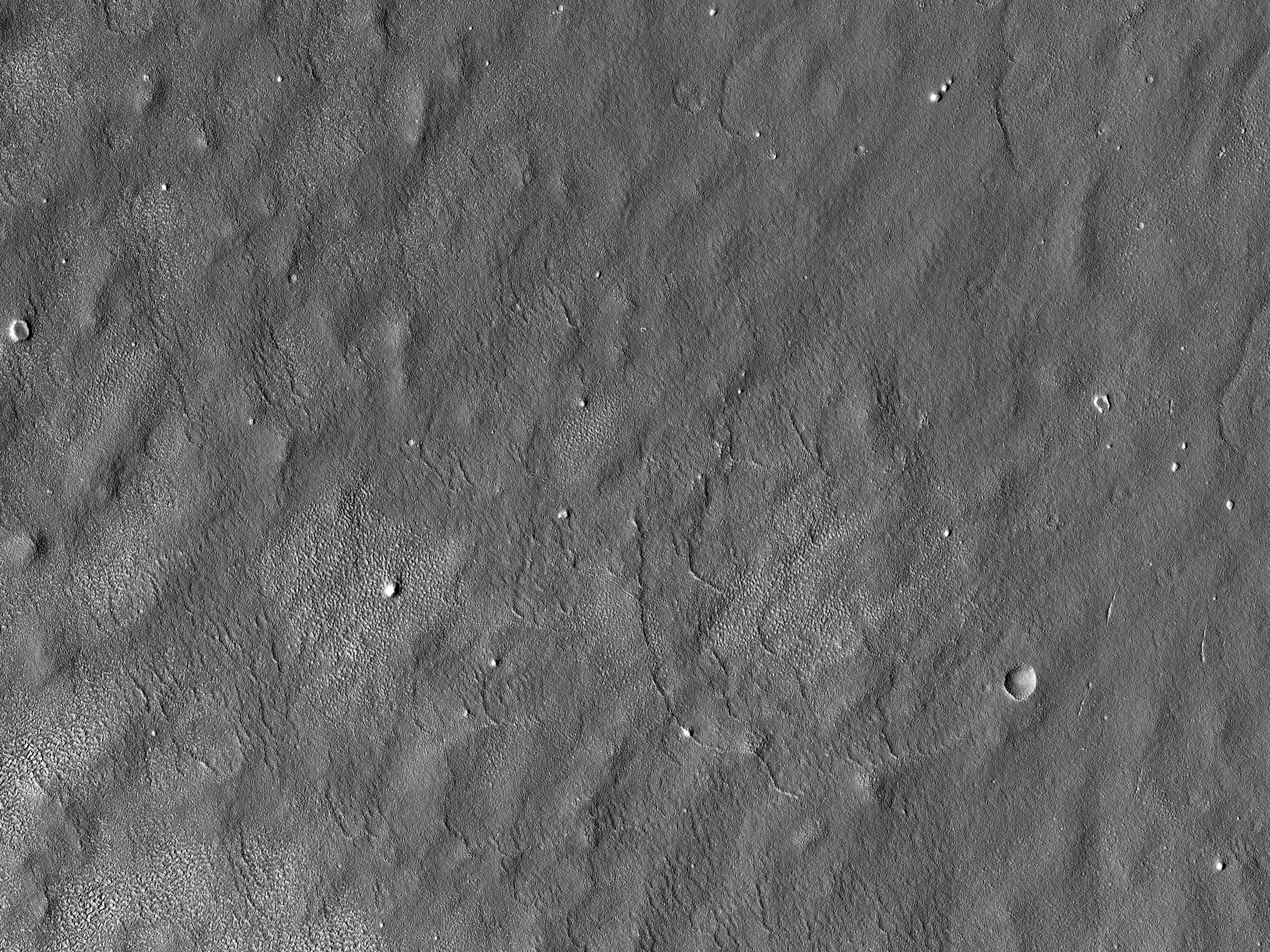 Möjlig landnings plats för "Red Dragon" i Arcadia Planitia