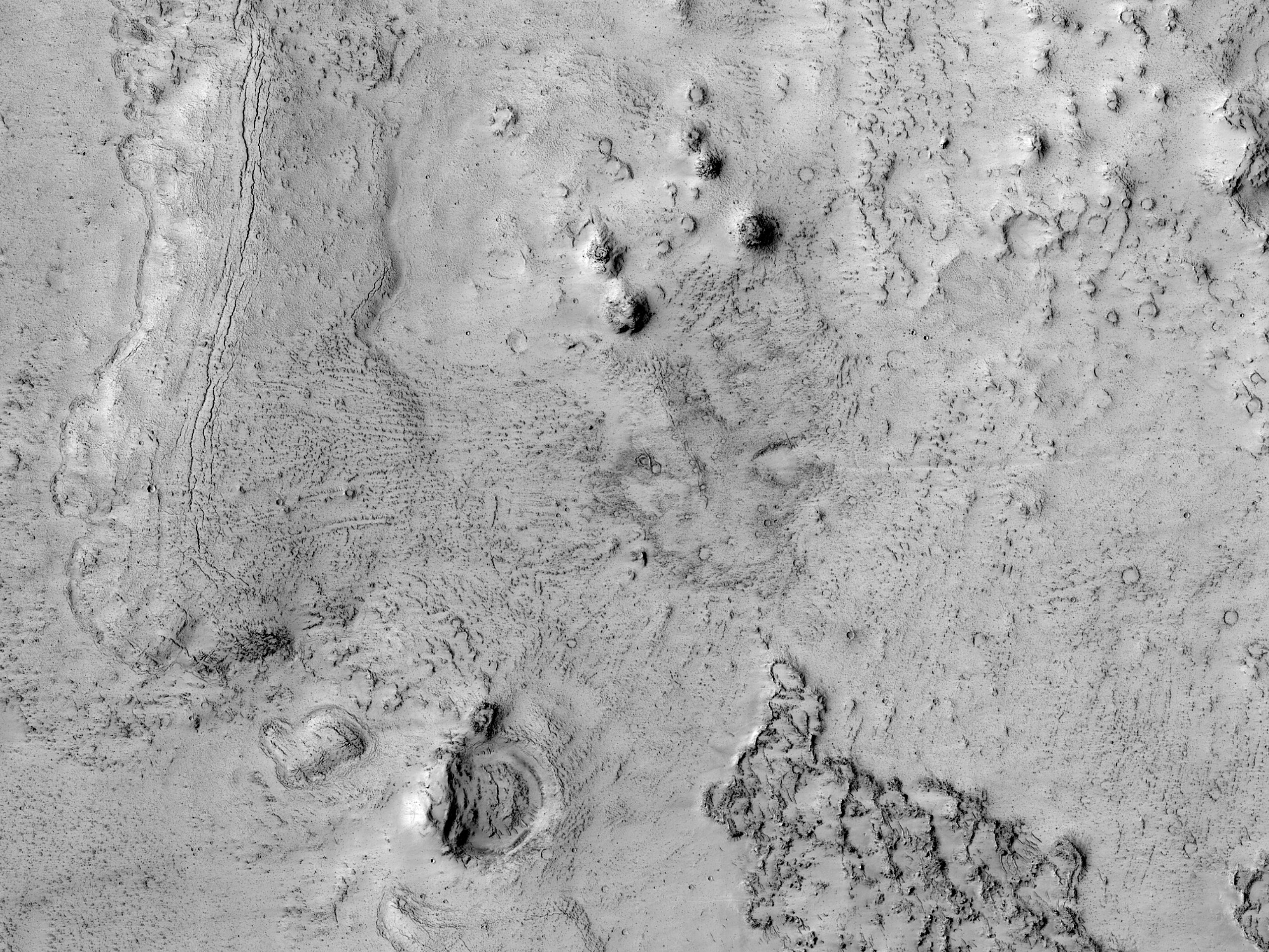 Topograffeg Ddiddorol yn Elysium Planitia