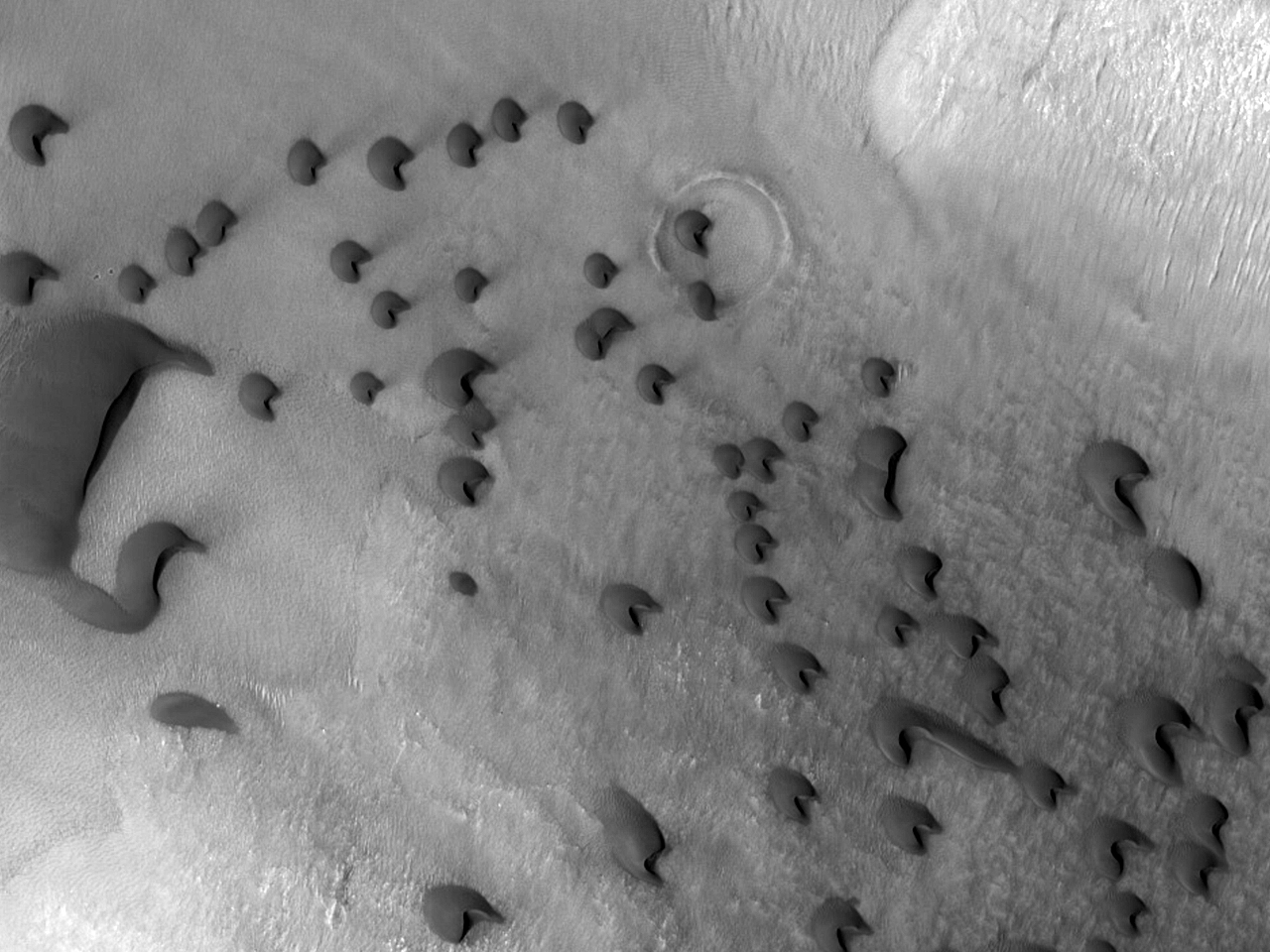 Поле дюн в кратере Lyot