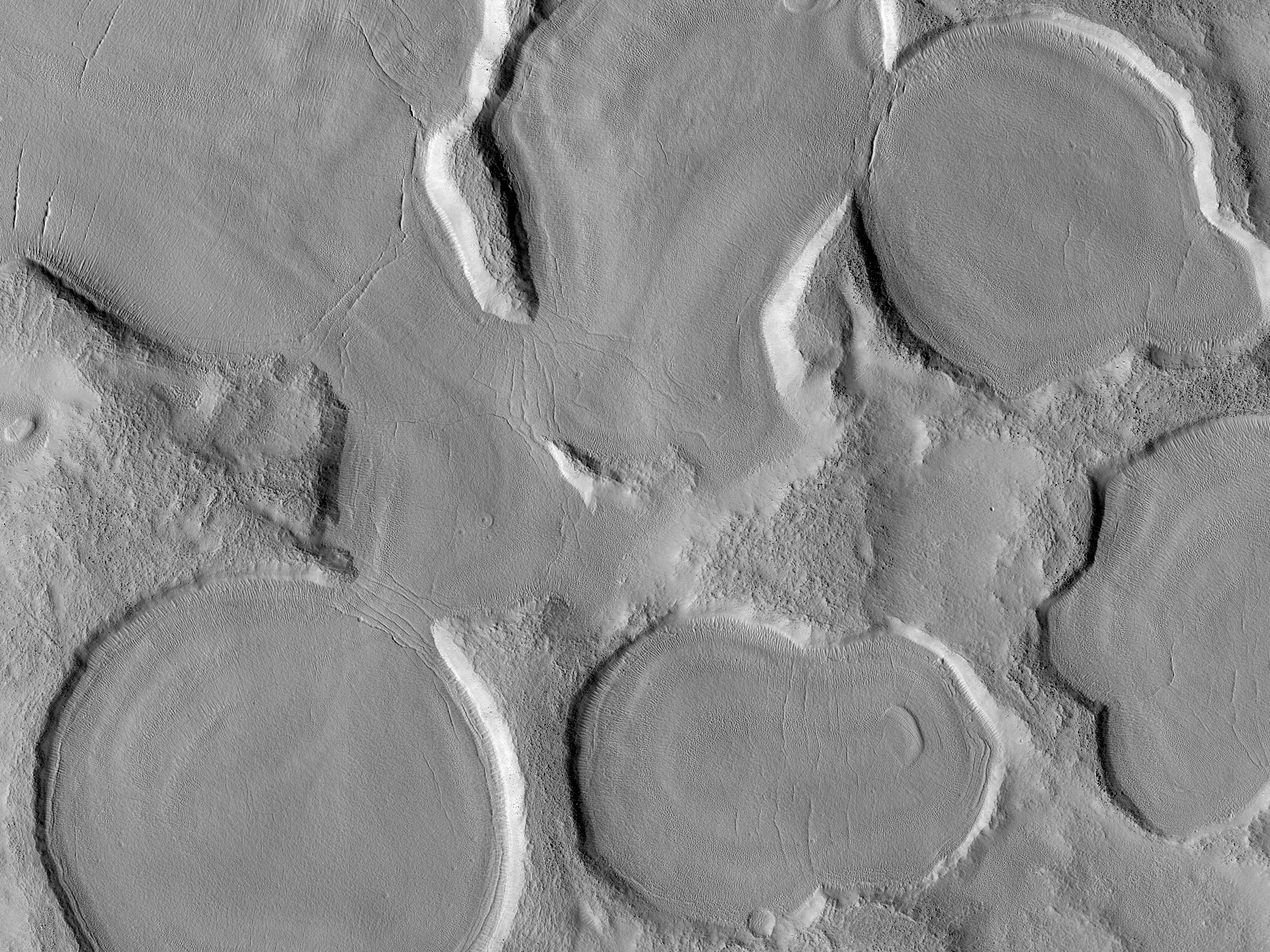 A Puddle of Craters