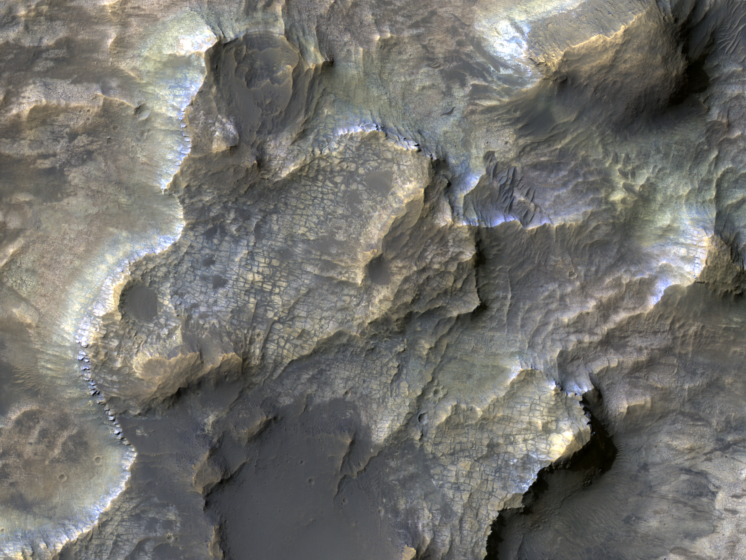 Clays in the Eridania Basin