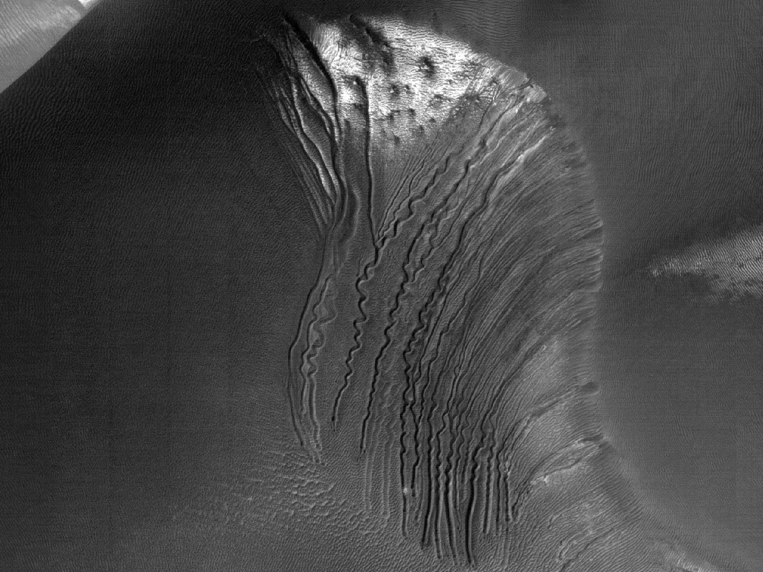 Zigzagging on Kaiser Crater Dunes
