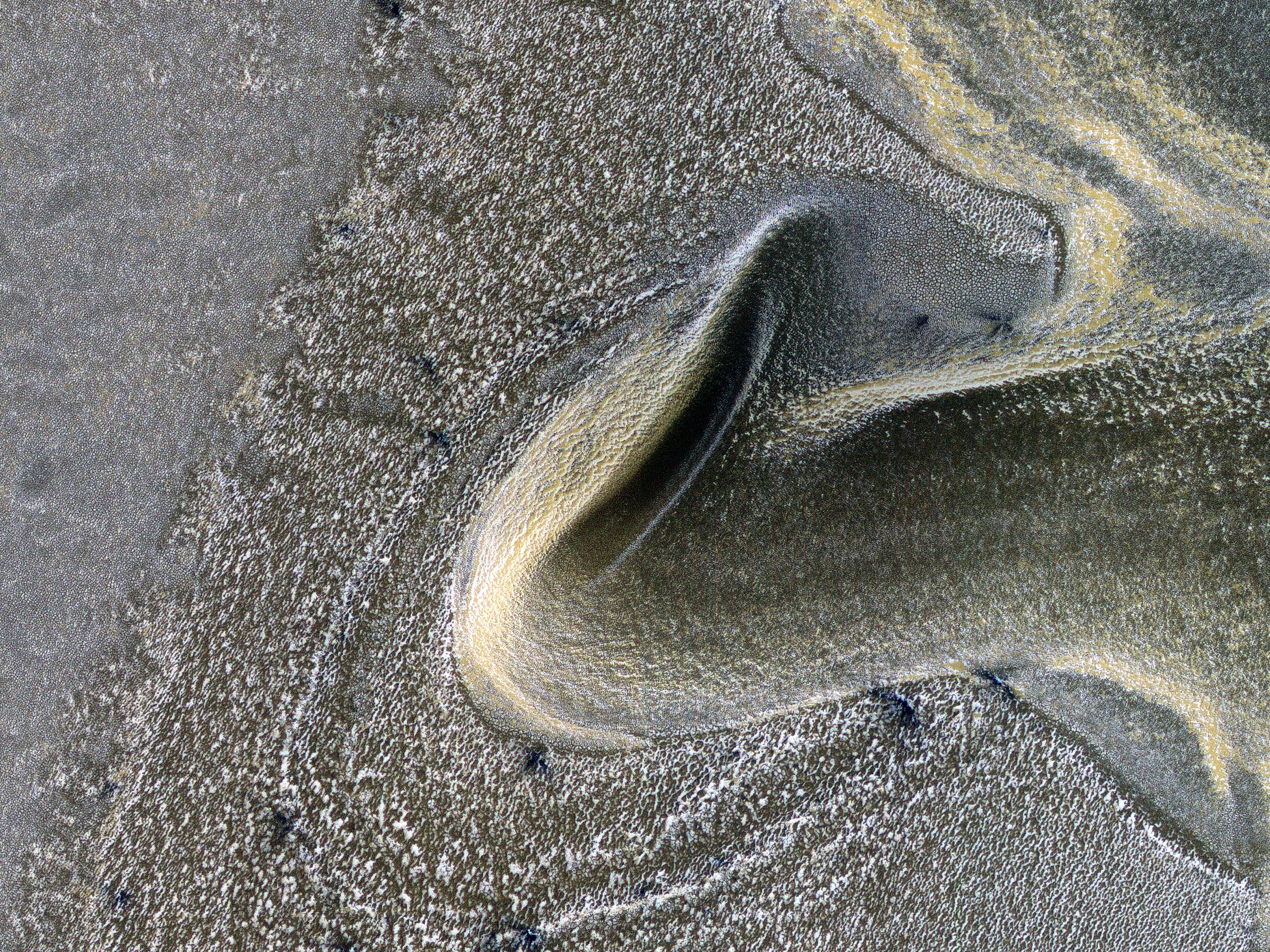 A Frosted Surface