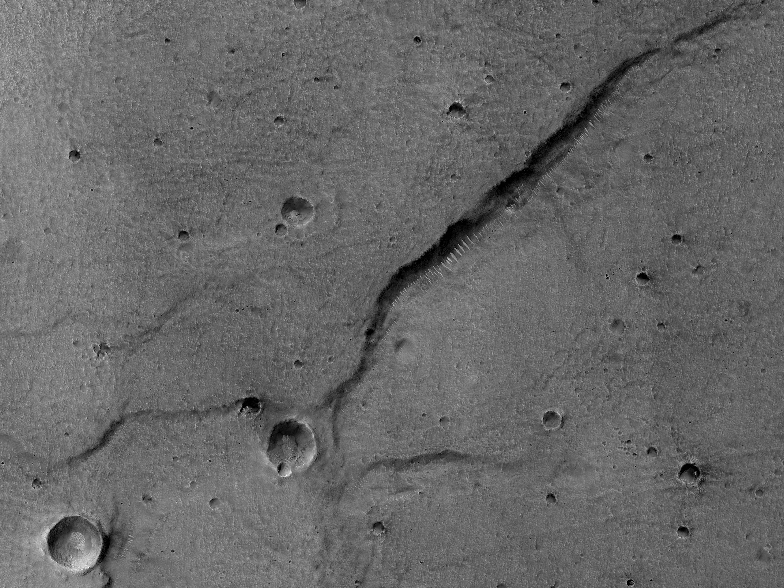 Fractures in Utopia Planitia