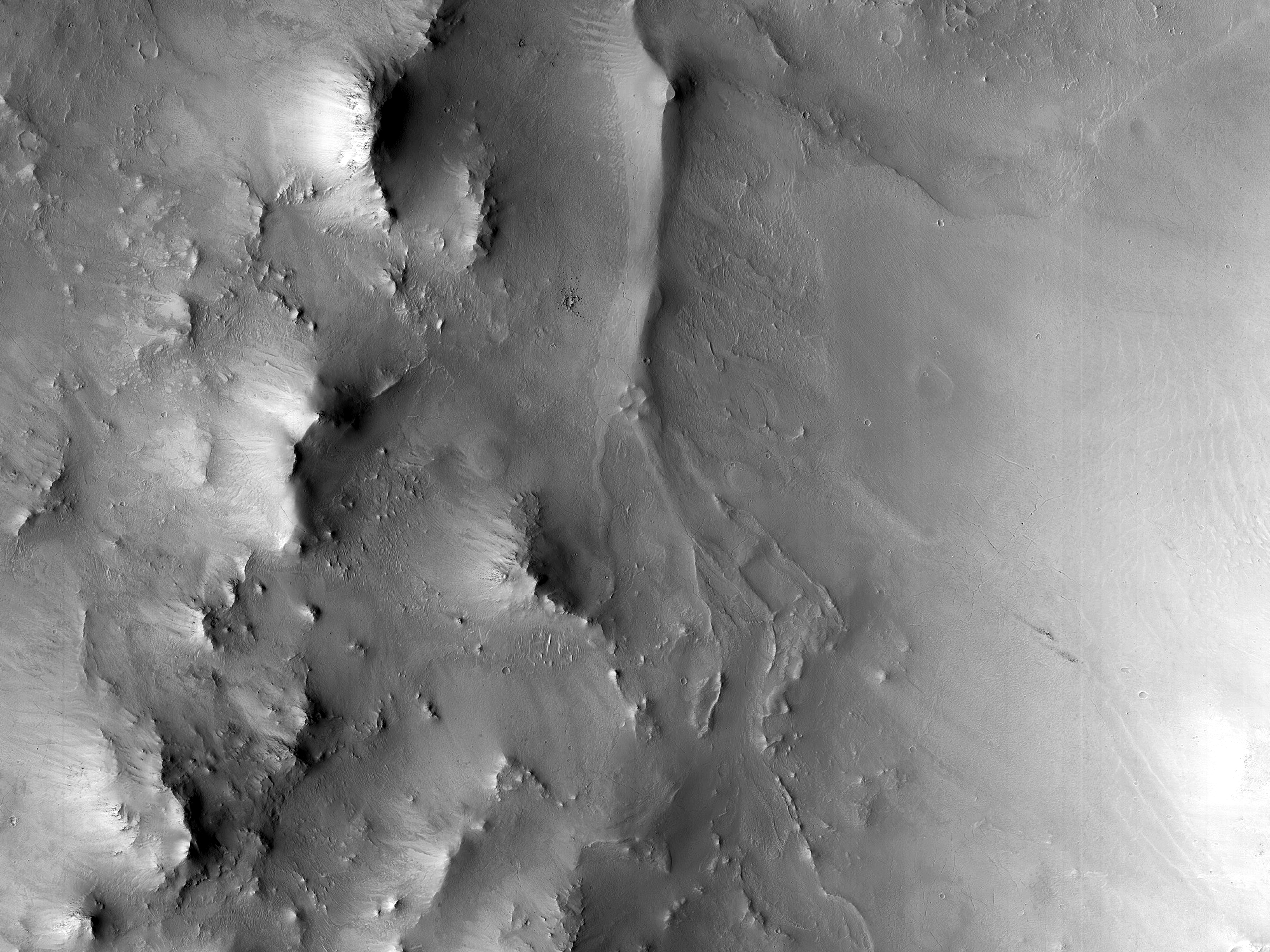 Branched Ridges on a Crater Wall