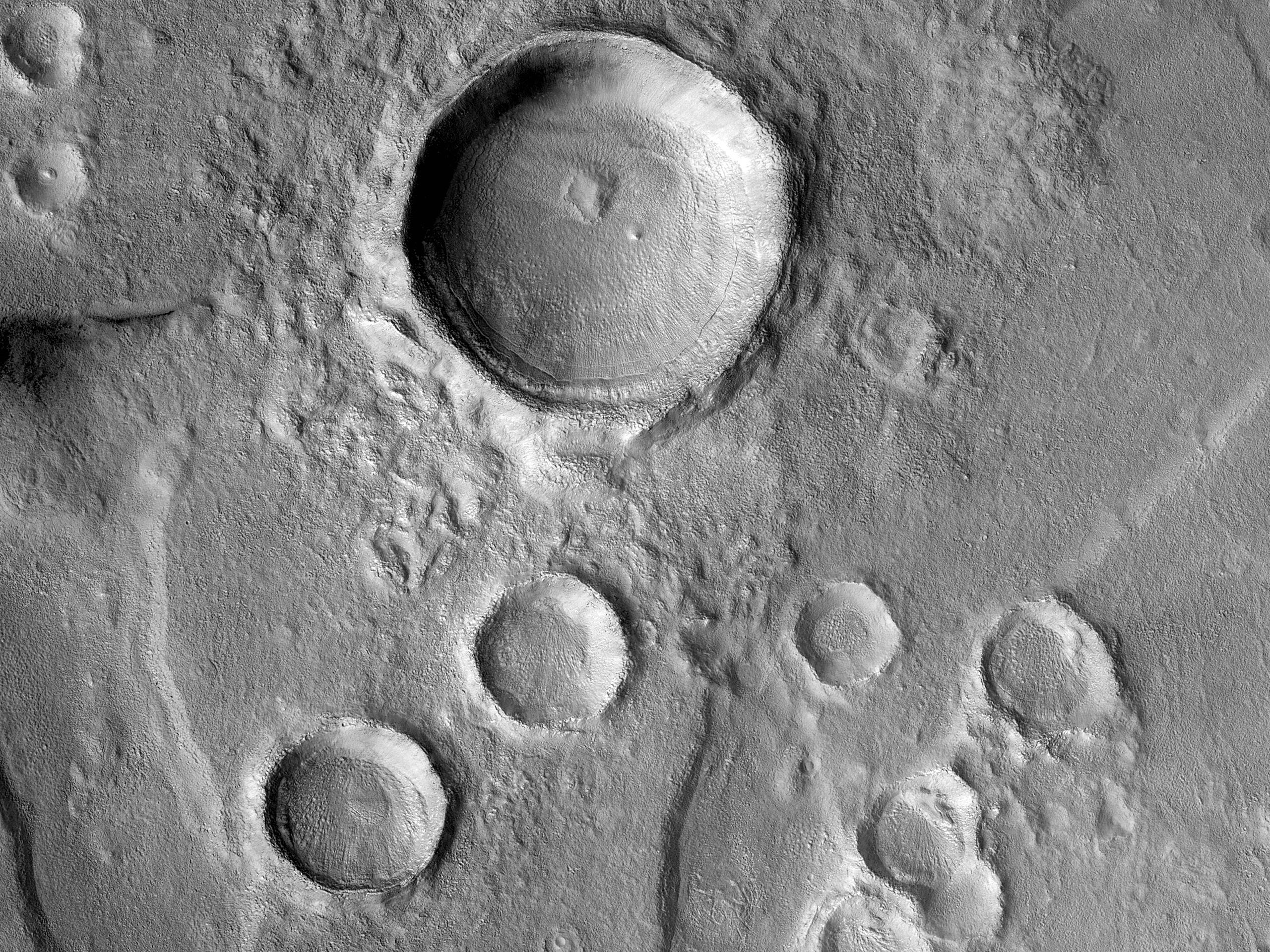 An Impact Crater Cluster in Utopia Planitia