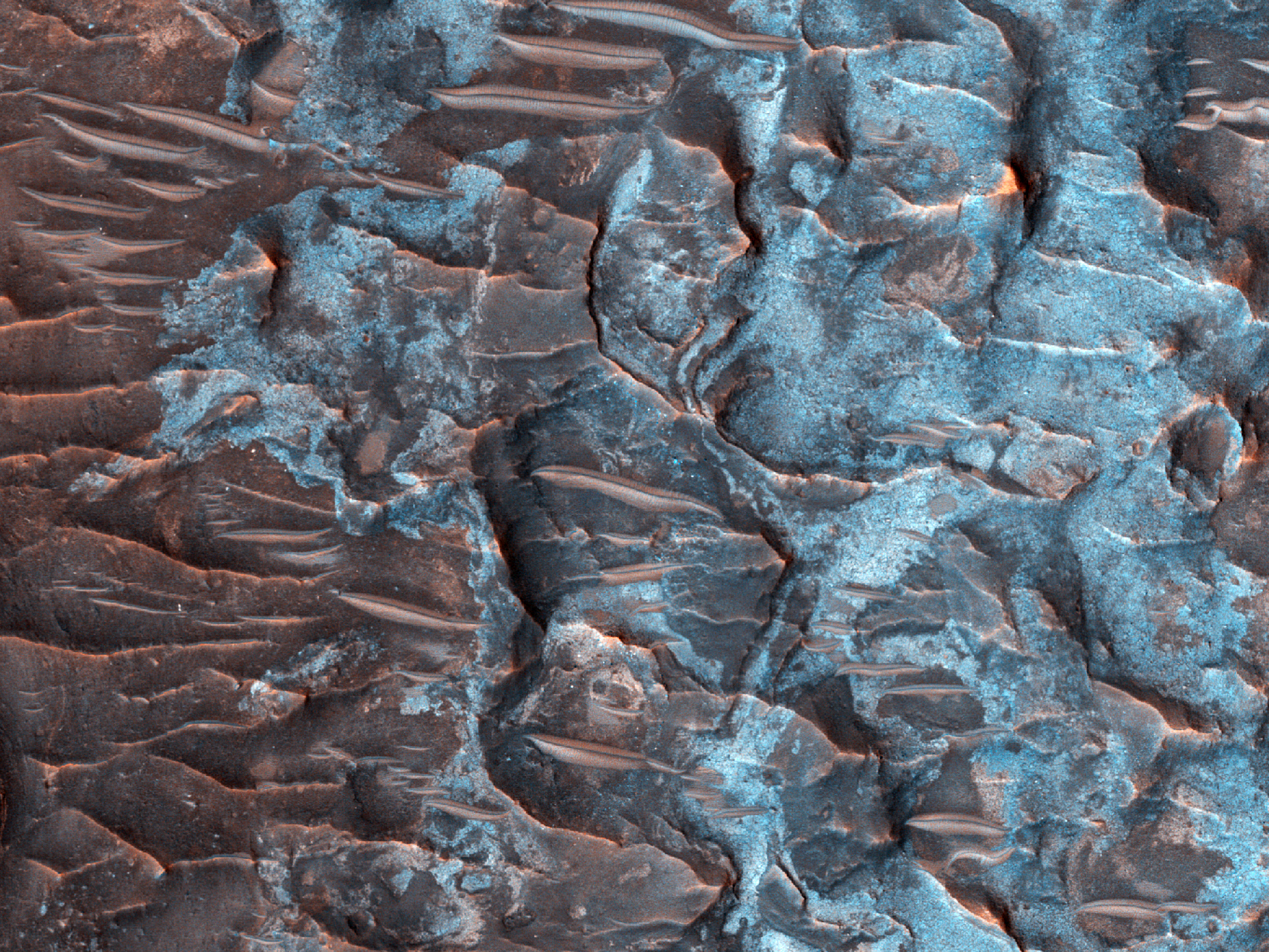 A Clay-Rich Landslide in Tyrrhena Terra