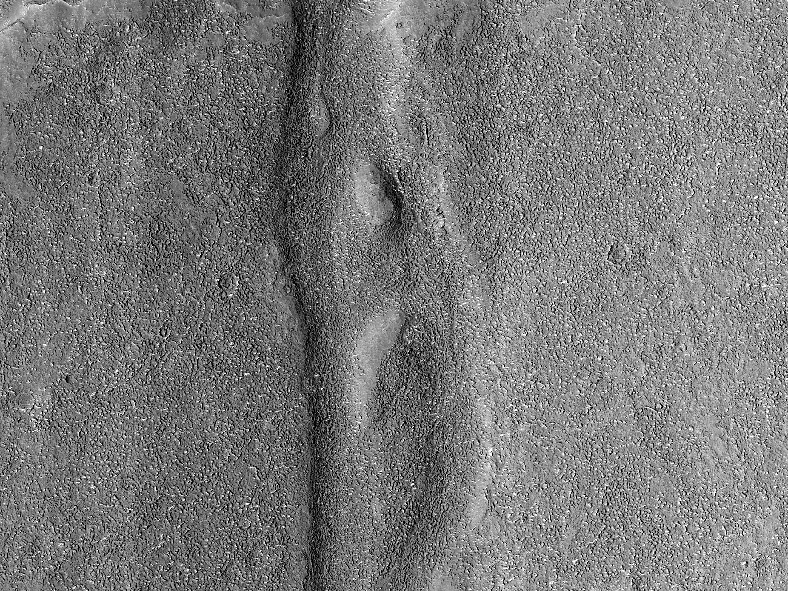 Streamlined Forms in Coracis Fossae