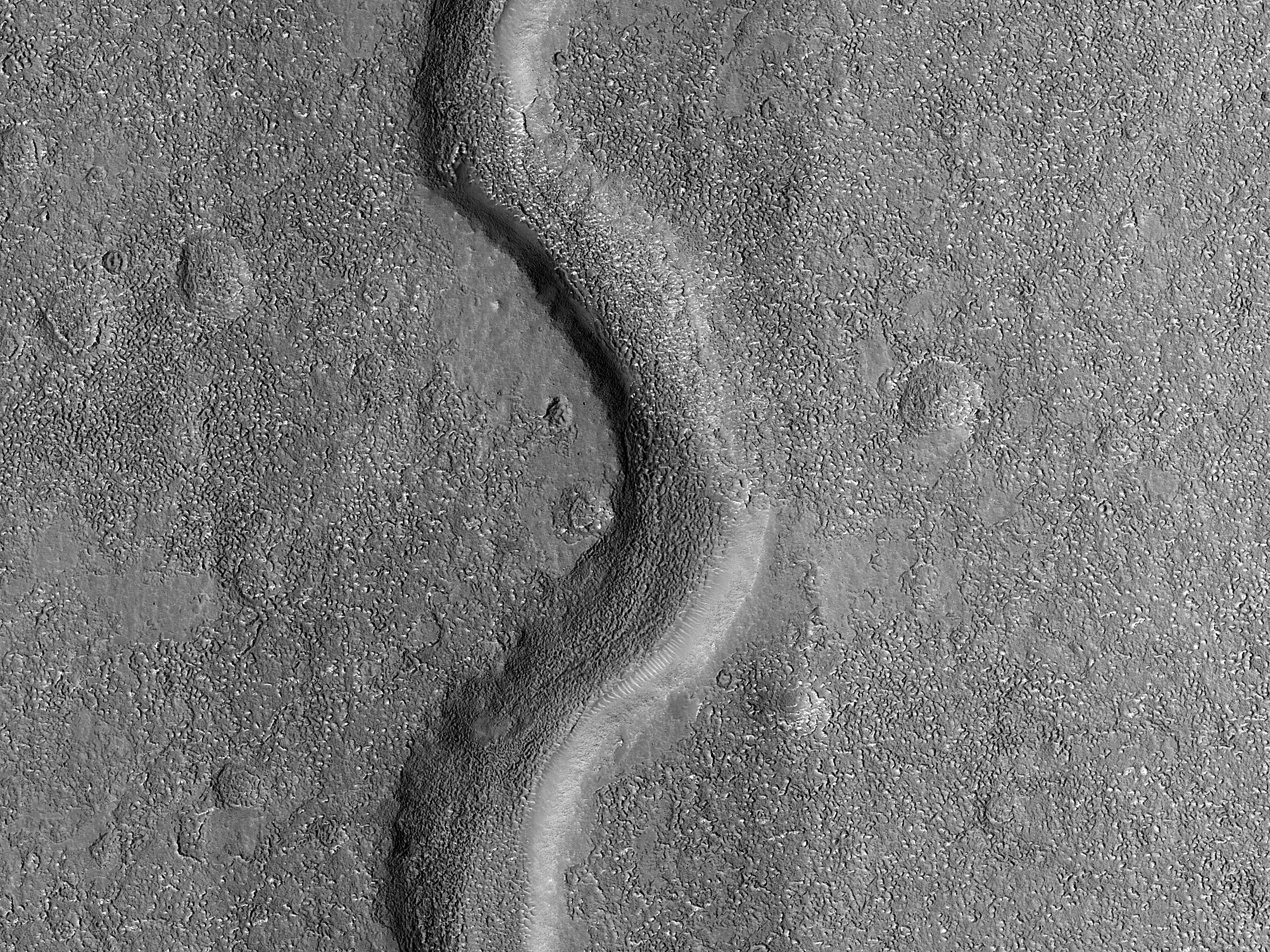 Streamlined in Coracis Fossae