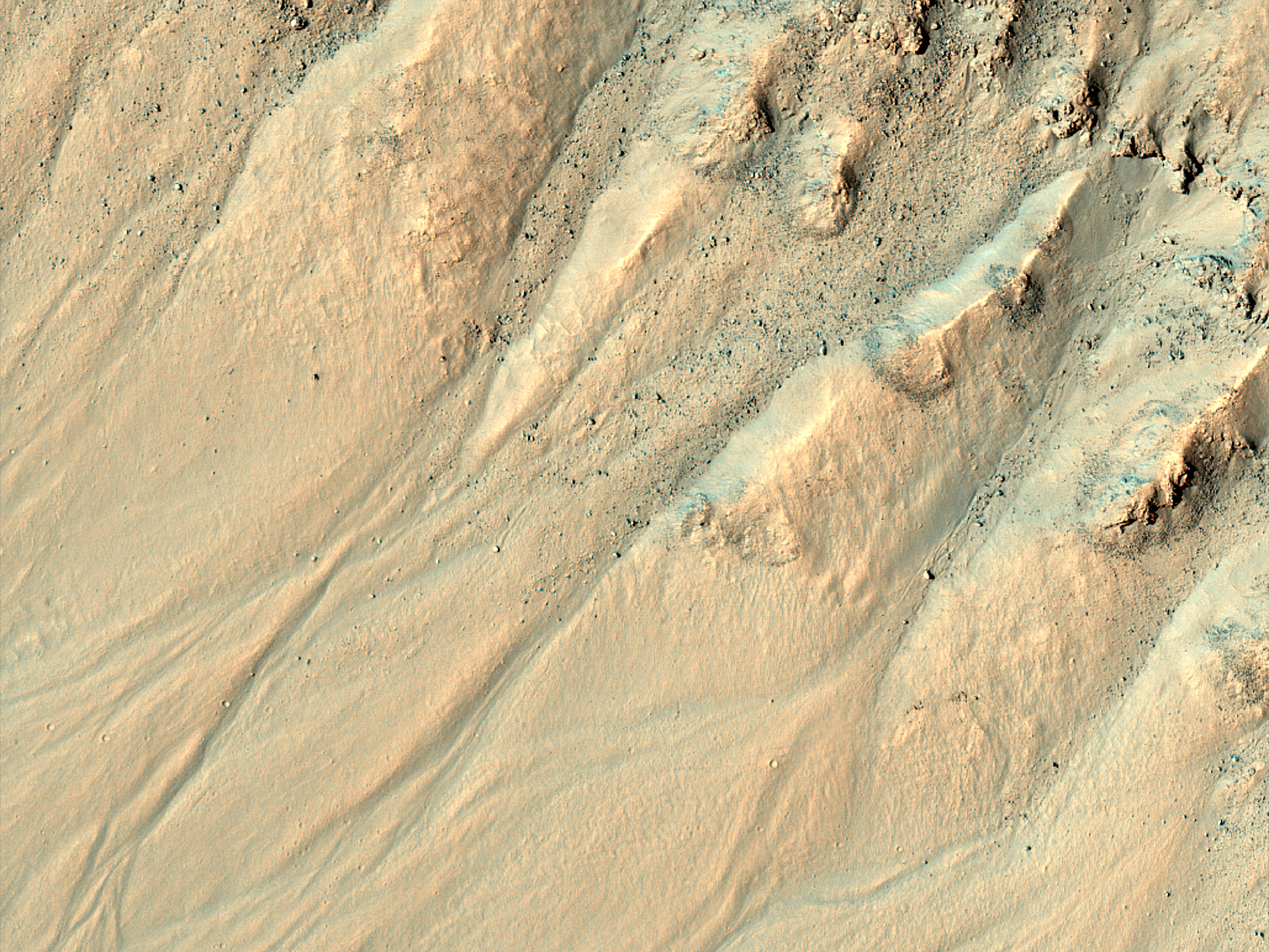Gullies in a Crater in Terra Cimmeria