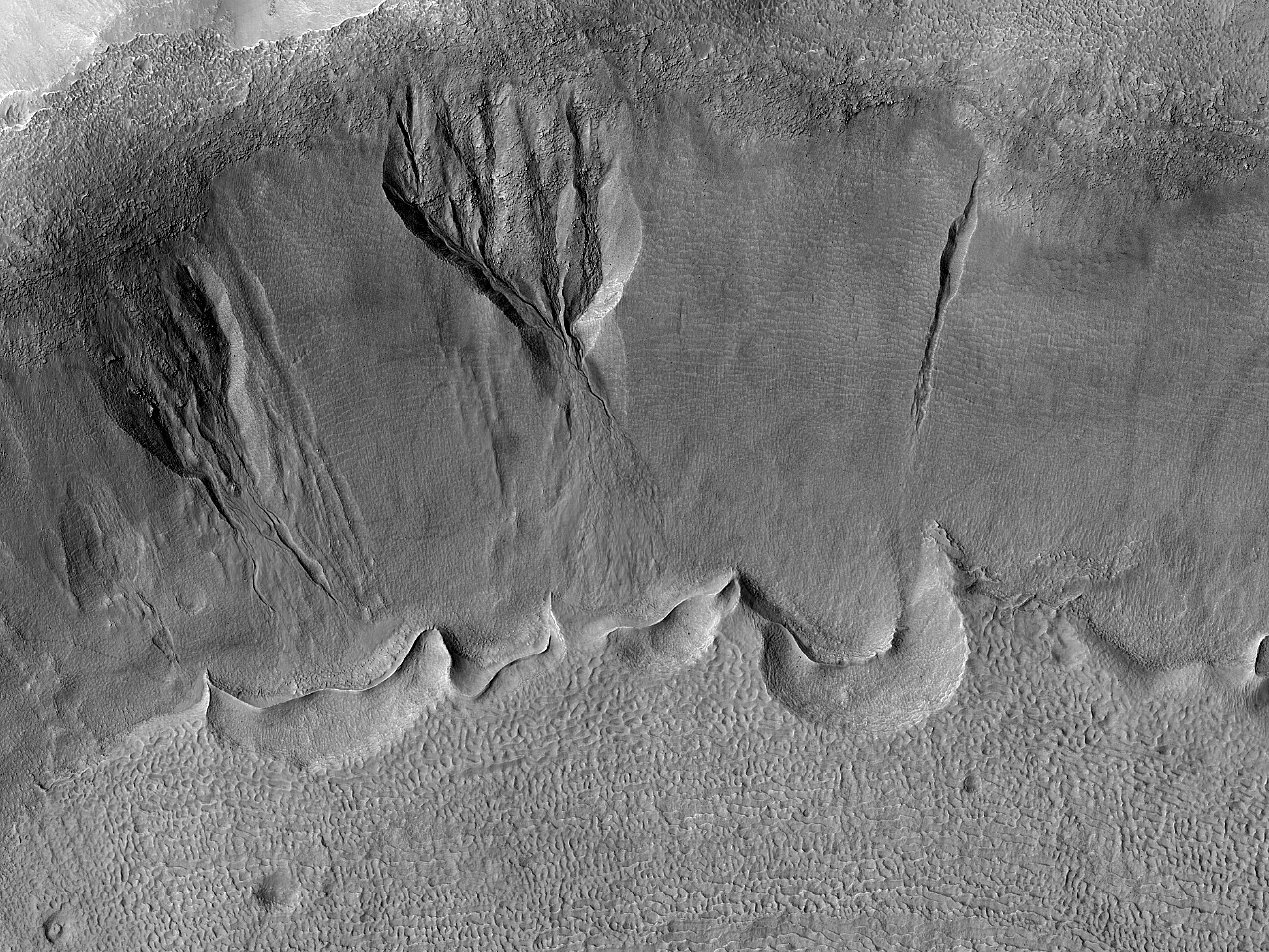 Gullies in a Crater near Newton Crater