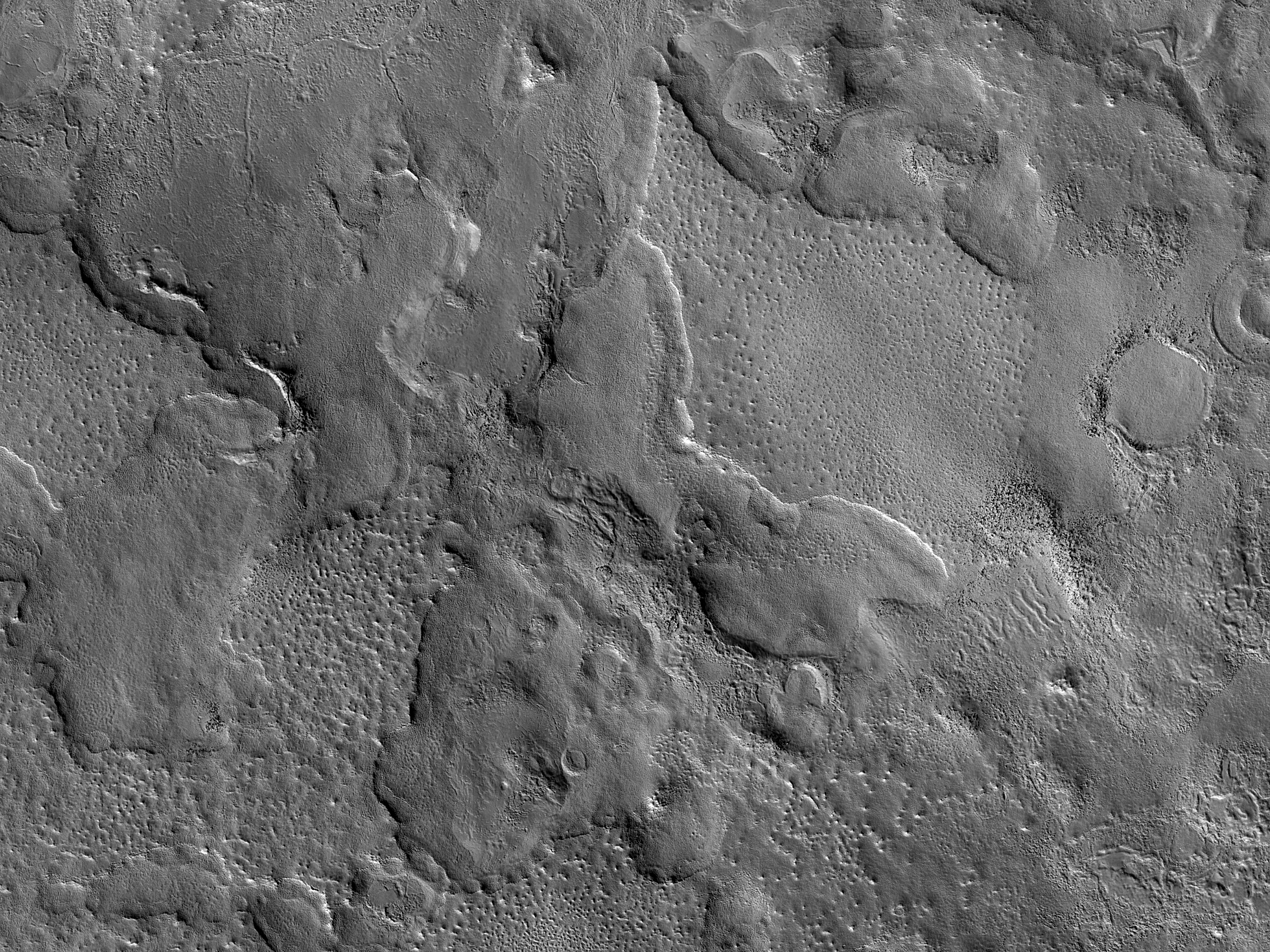 A Field of Scalloped Depressions in Utopia Planitia