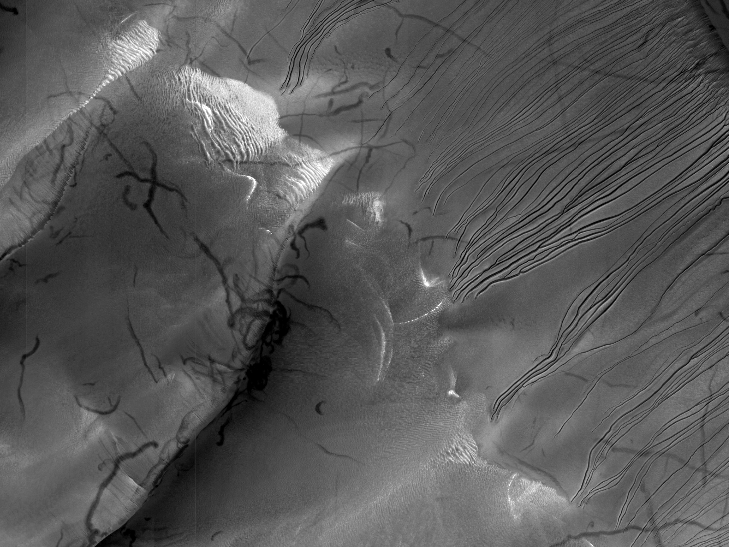 Linear Gully Activity in Russell Crater
