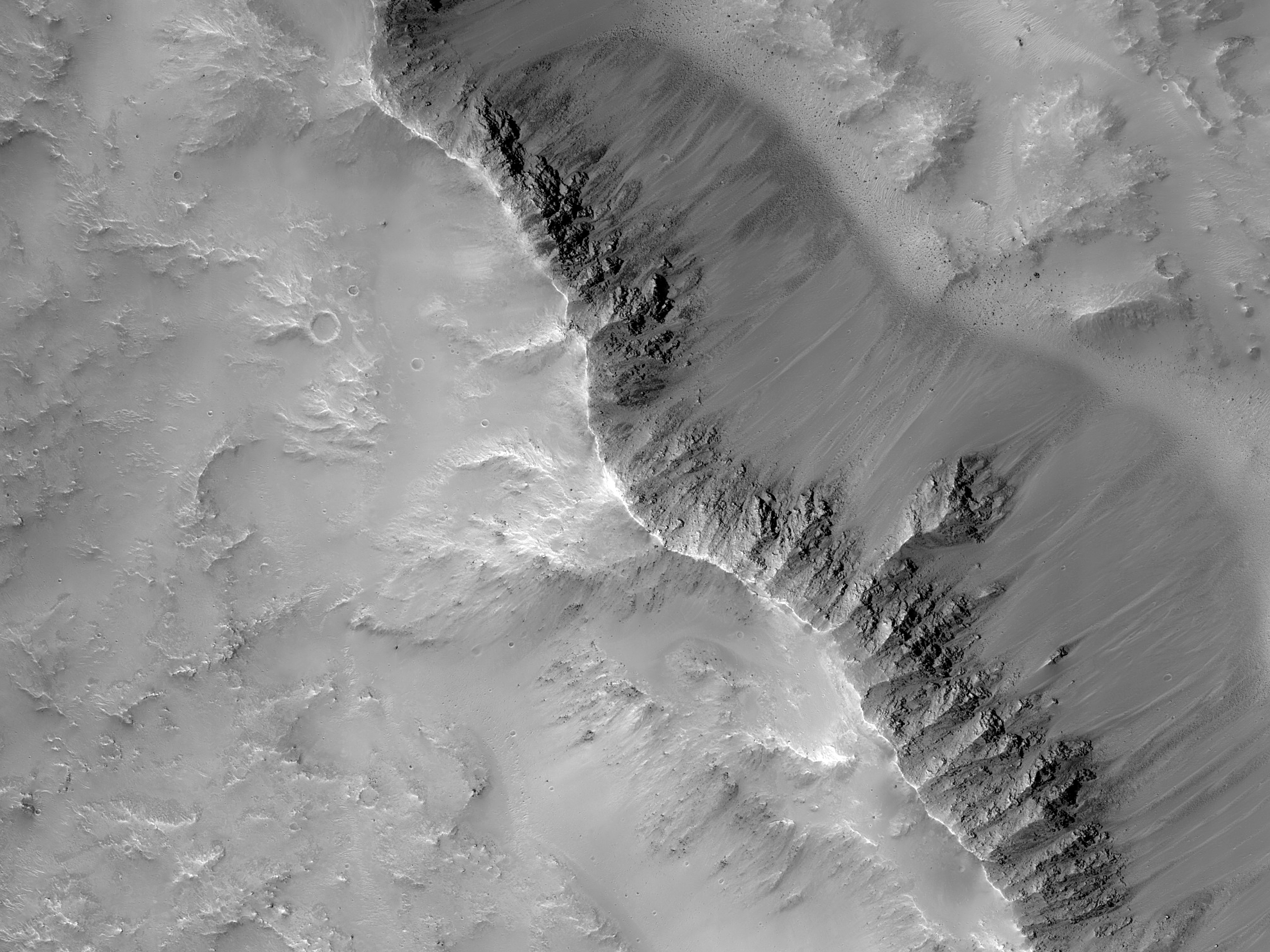 A Crater Still Life
