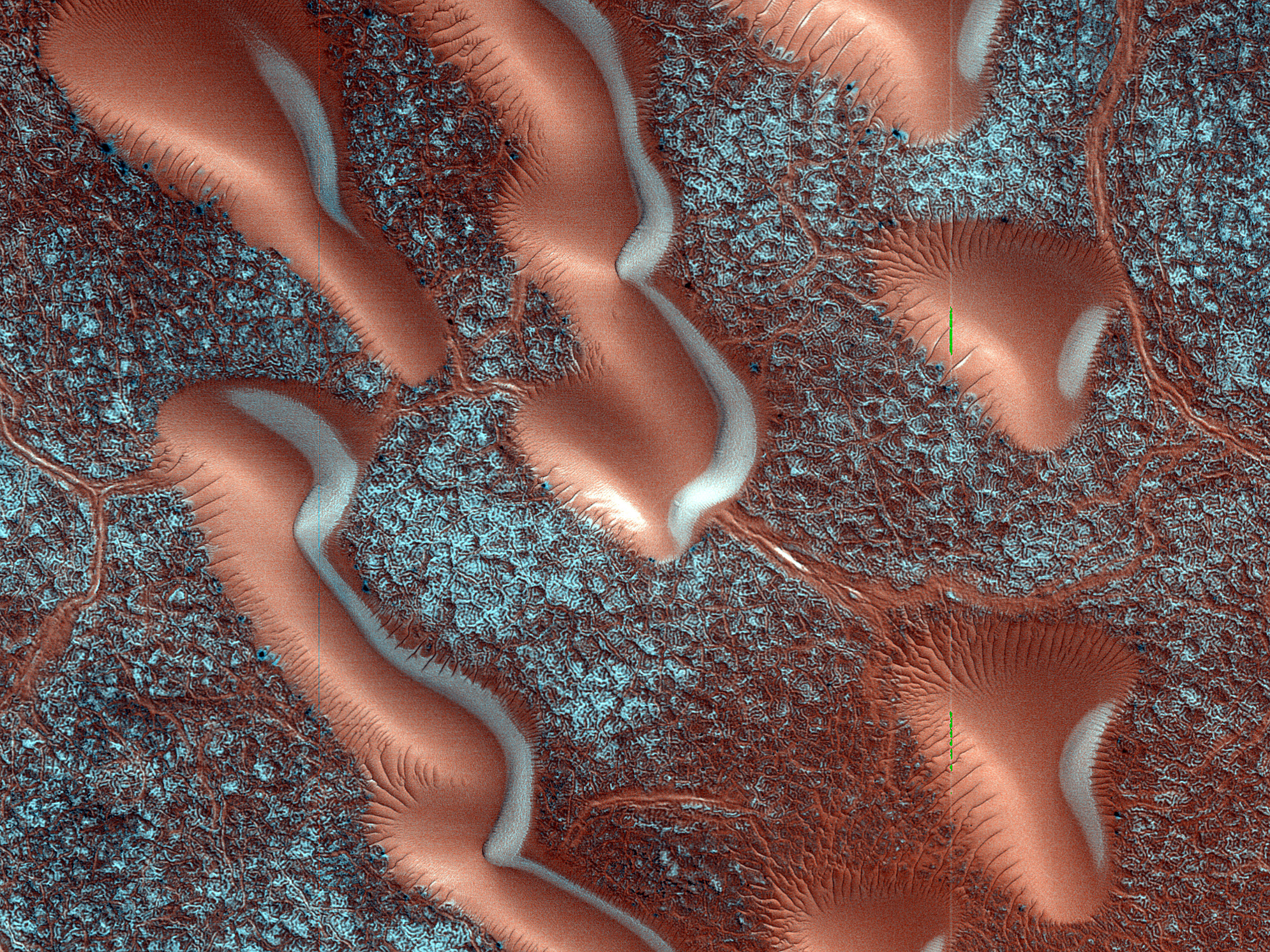 Dune Monitoring