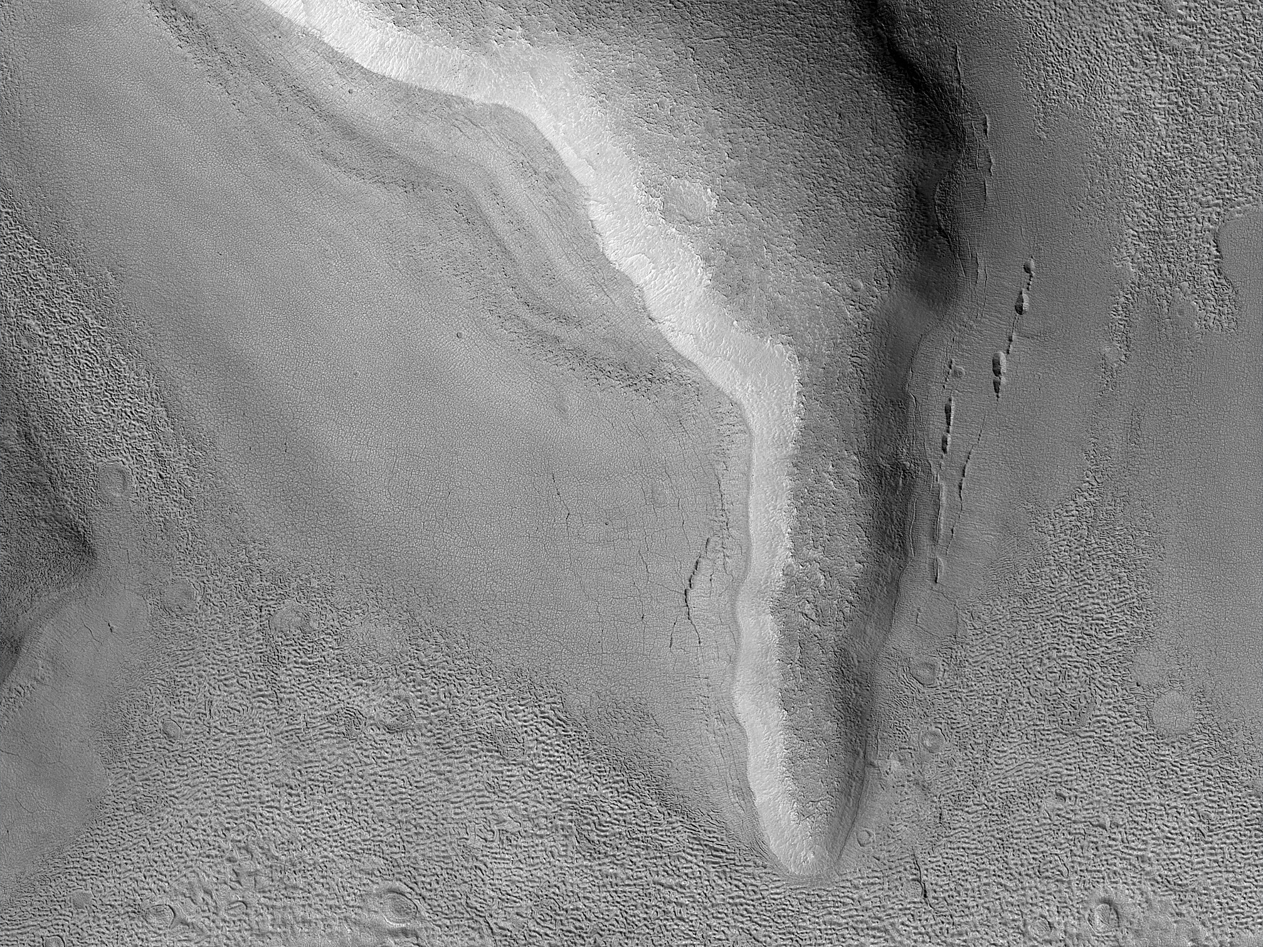 Lines of Pits in Protonilus Mensae
