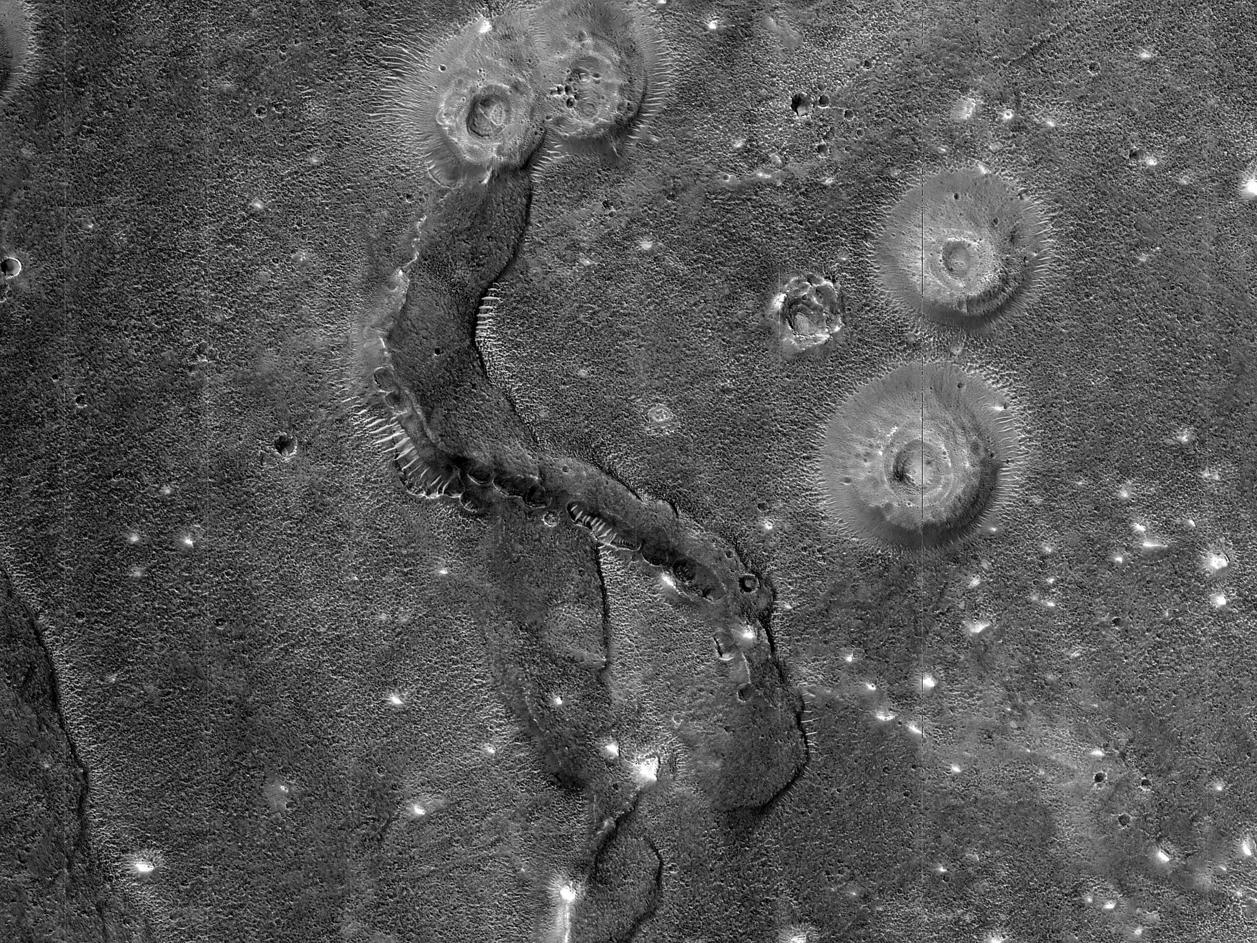 Ridges in Acidalia Planitia