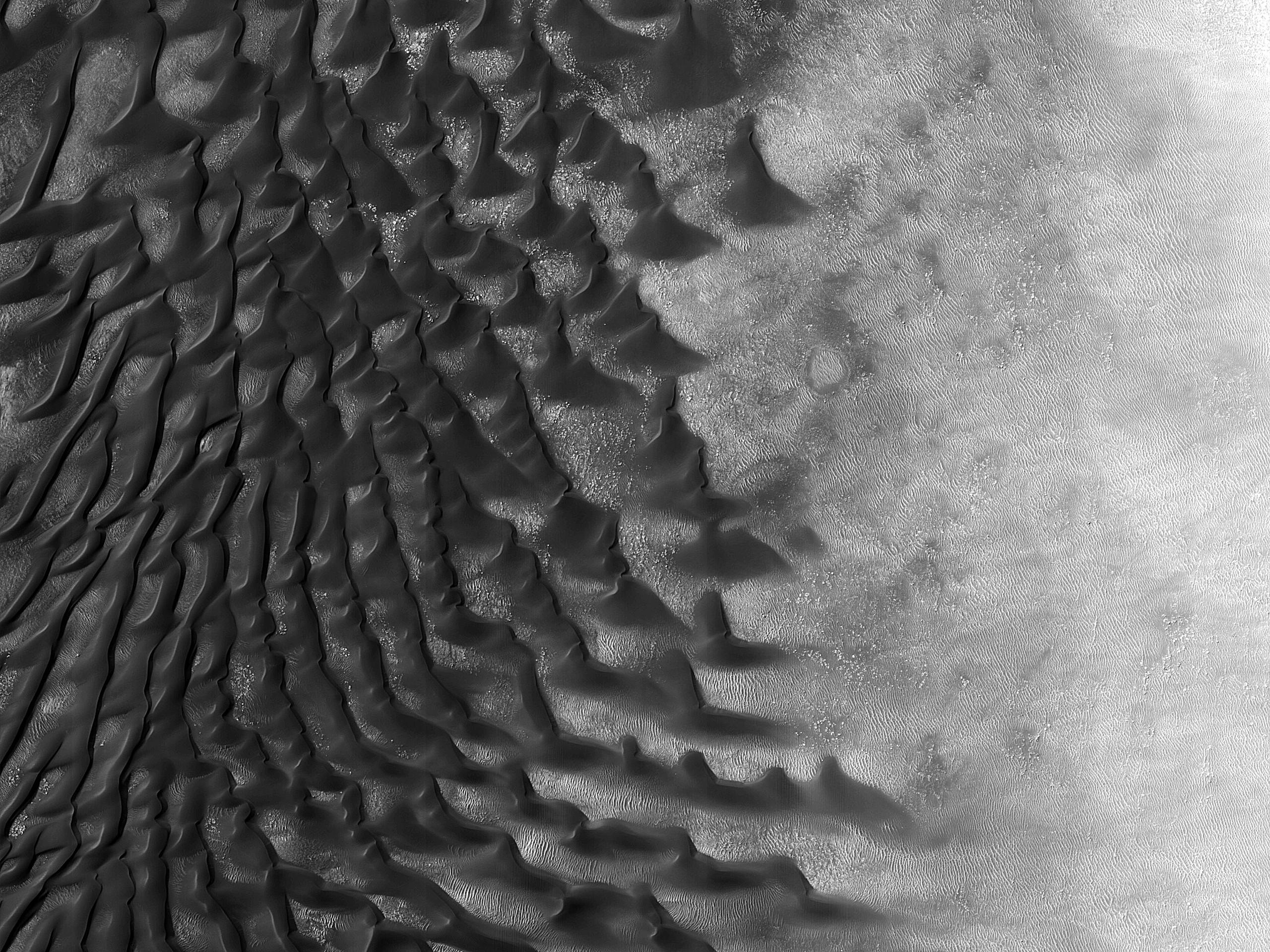 Dune Convergence at USGS Dune Database Entry Number 0465-417