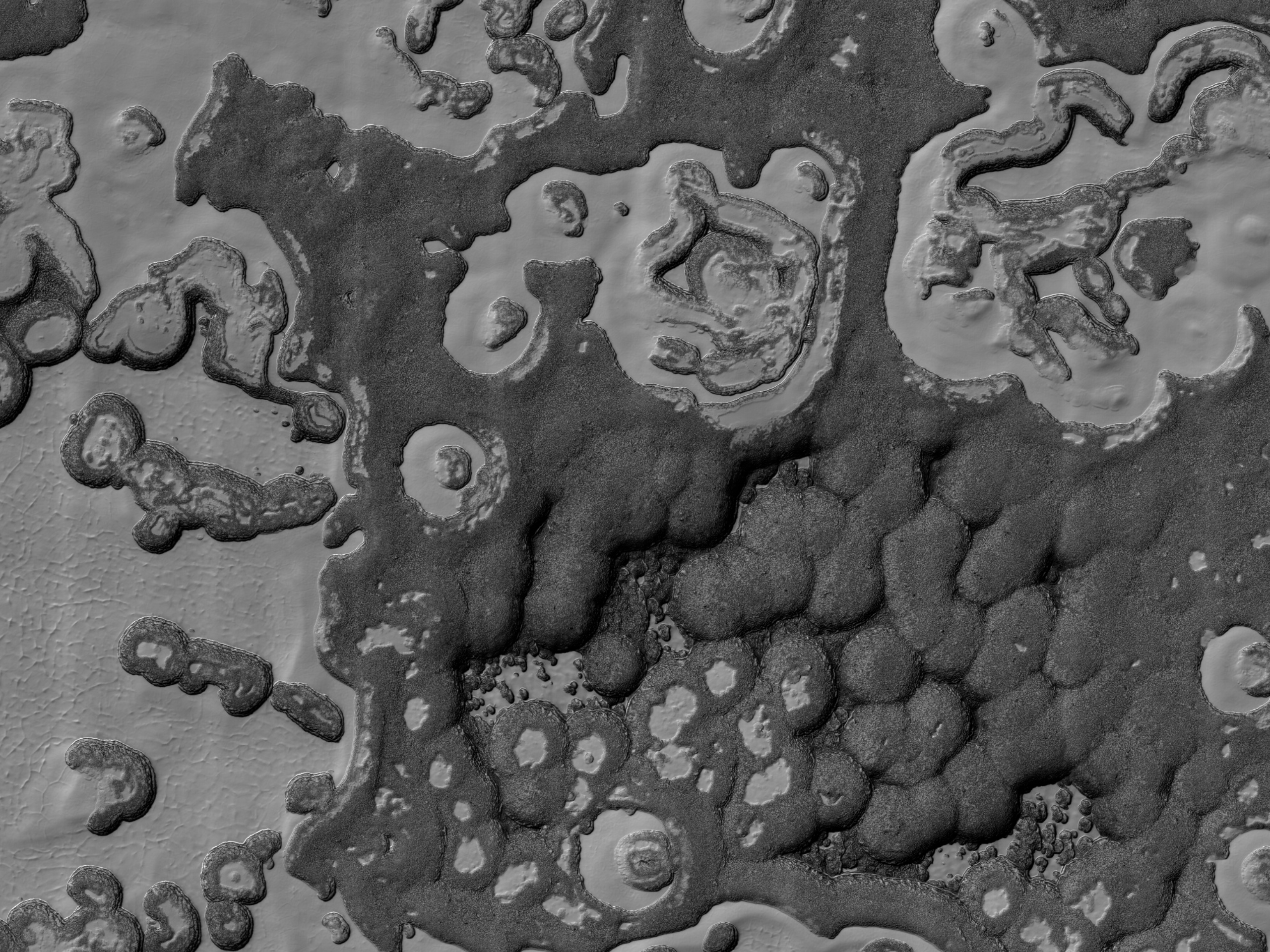 South Polar Residual Cap Monitoring