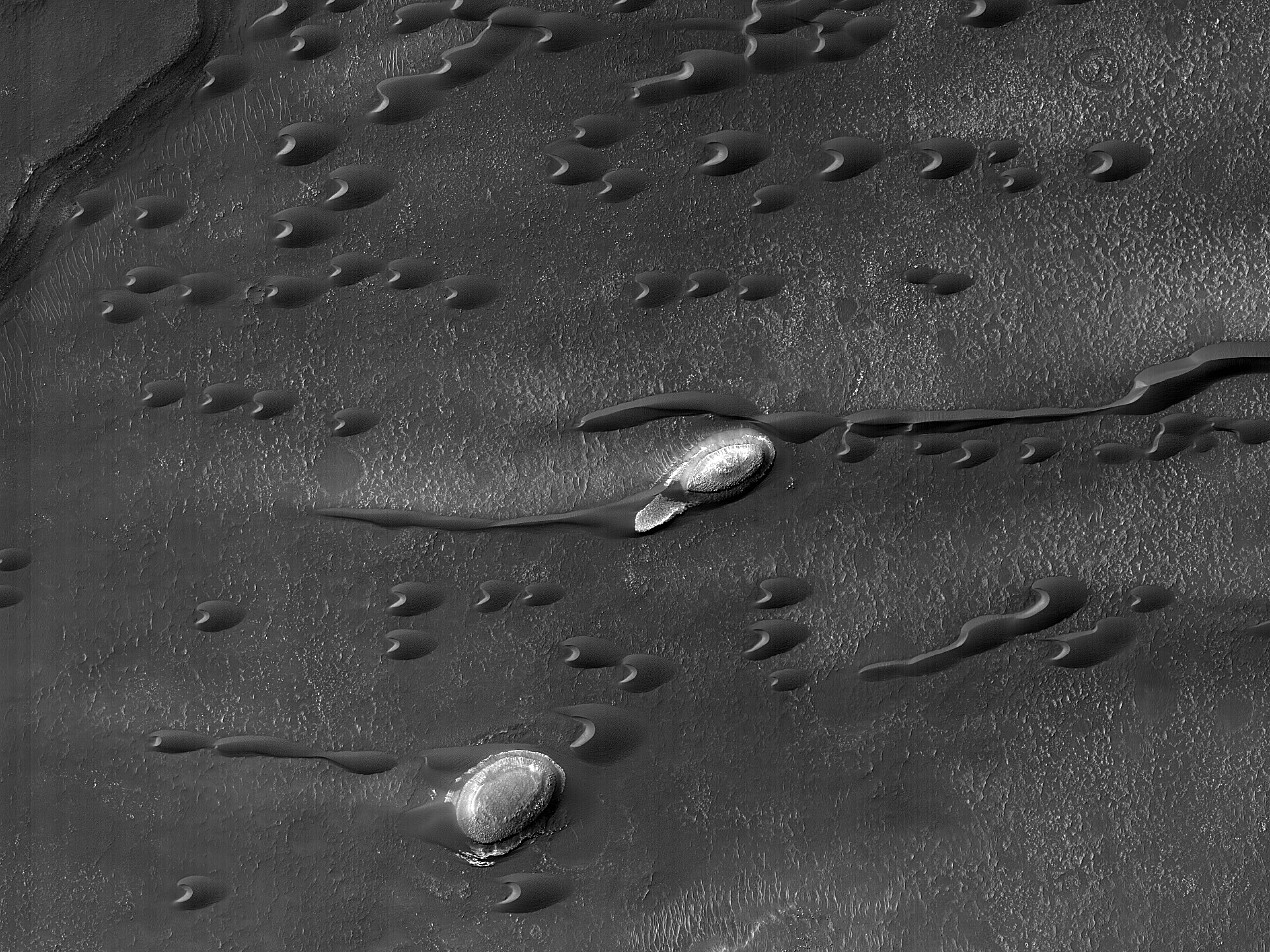 Downwind Hellespontus Regional Barchan Dunes