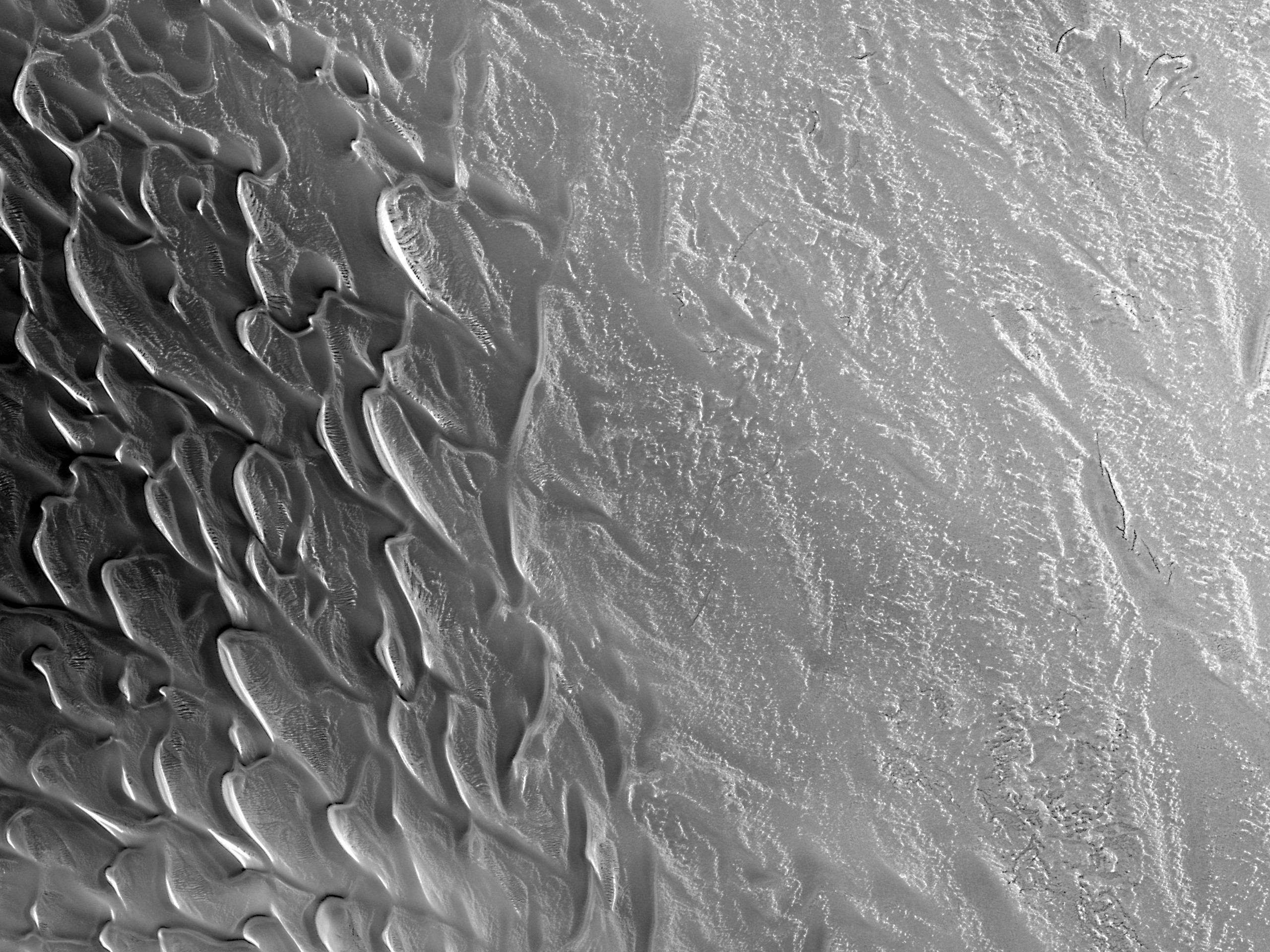 Cold Dunes