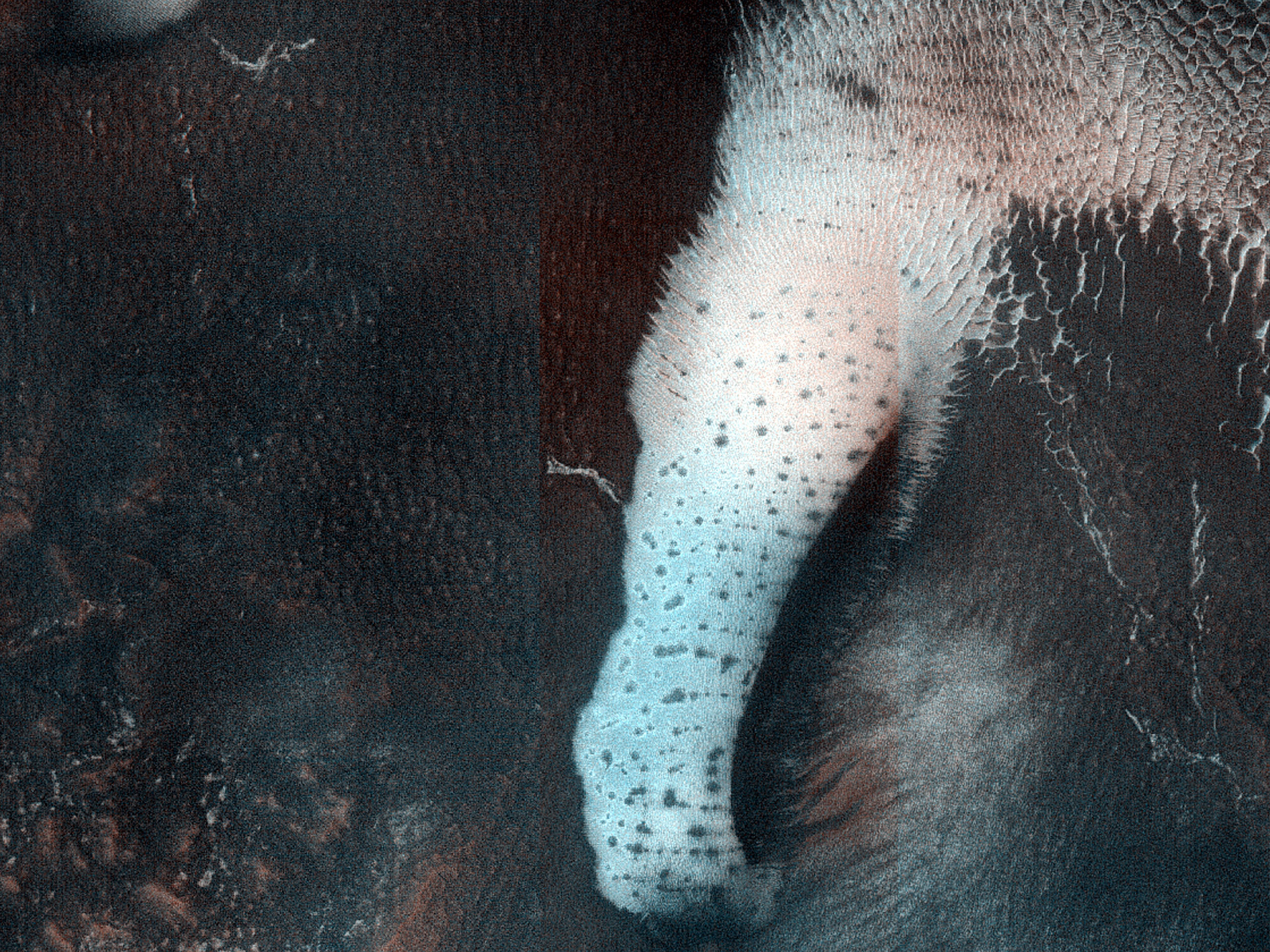 Dune Monitoring in Crater