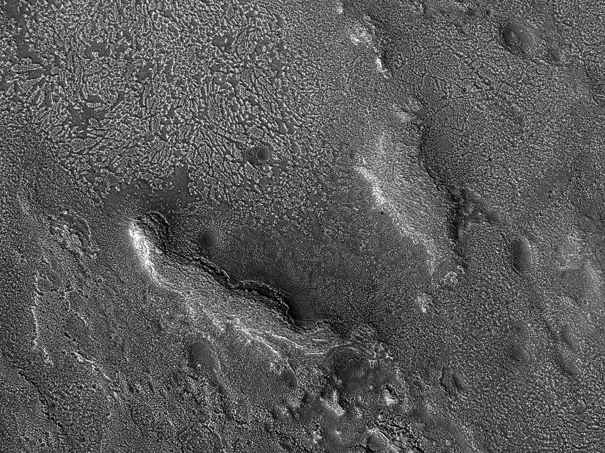 Periglacial Terrain in Protonilus Mensae