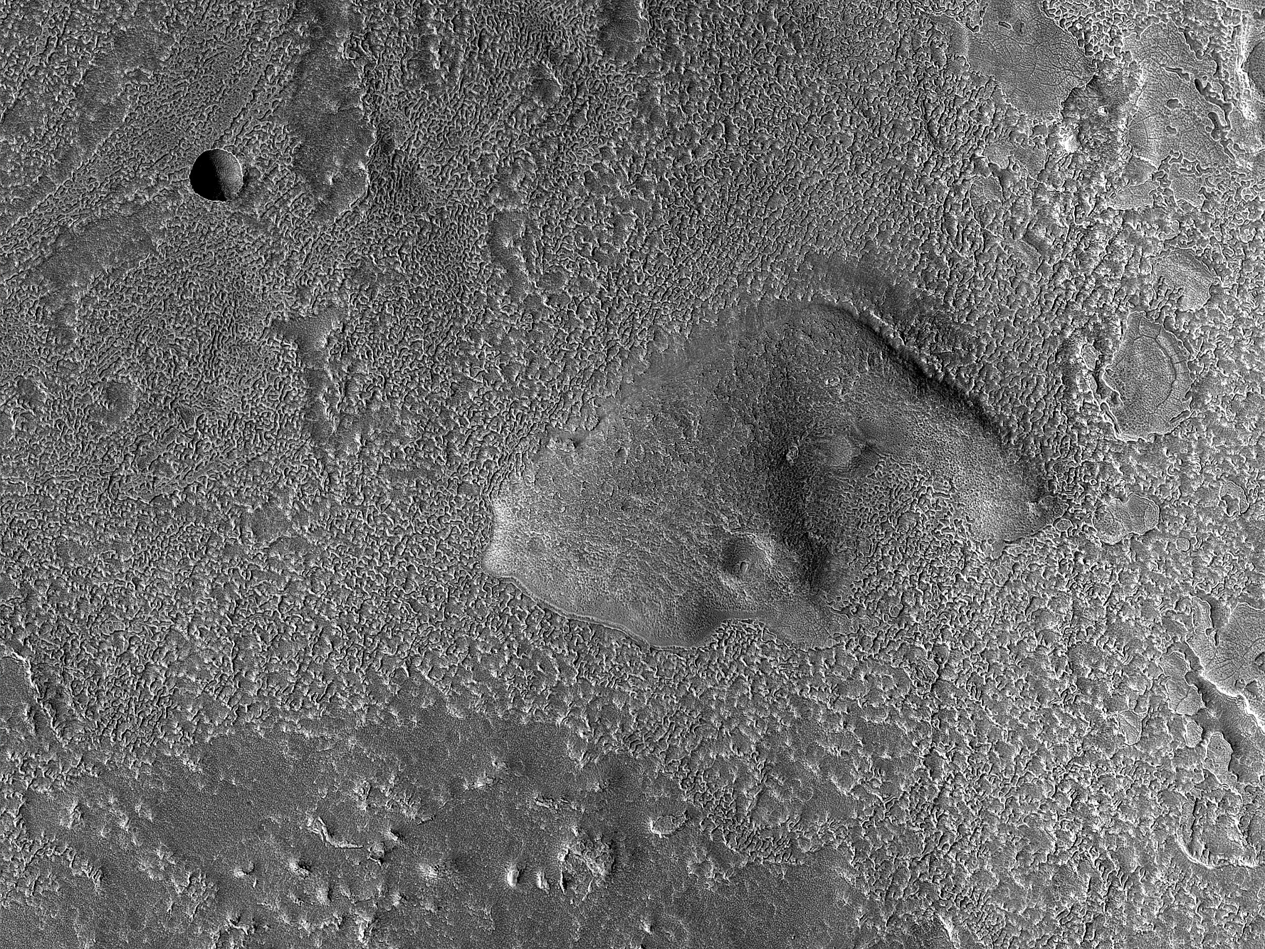 Glacial and Periglacial Terrains in Protonilus Mensae