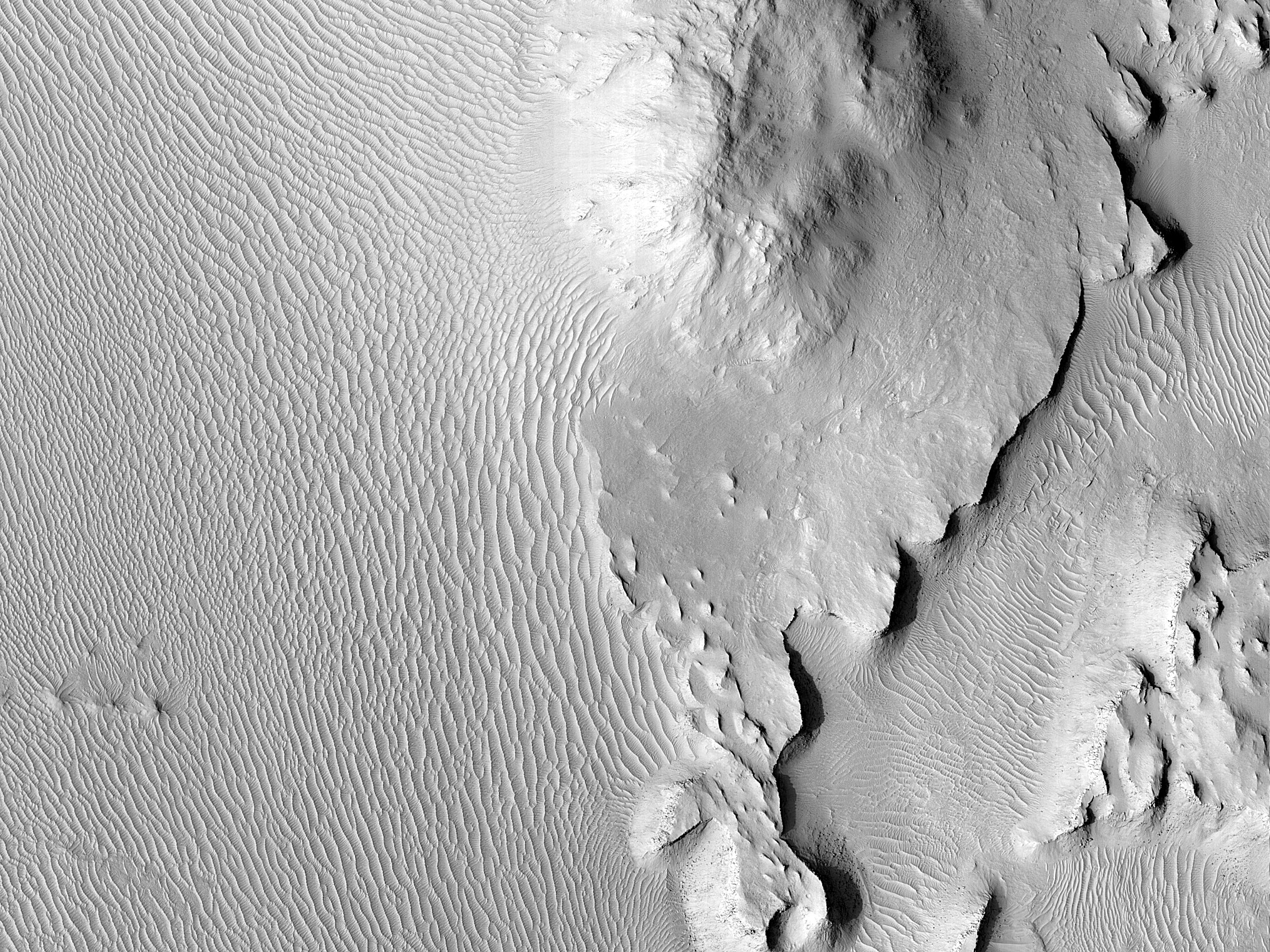 A Sinuous Ridge in Aeolis Dorsa