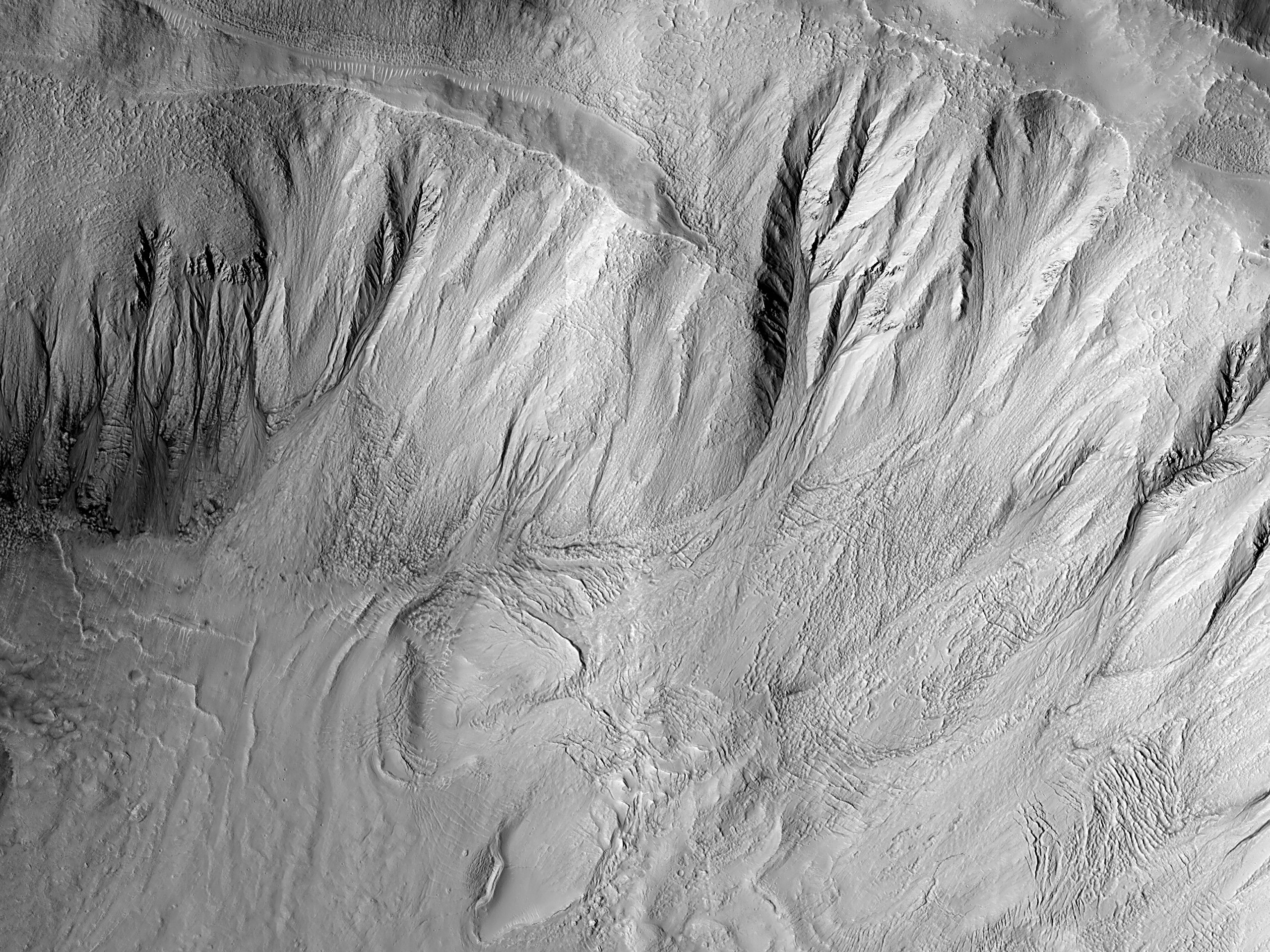 Gullies in a Southern Mid-Latitude Crater