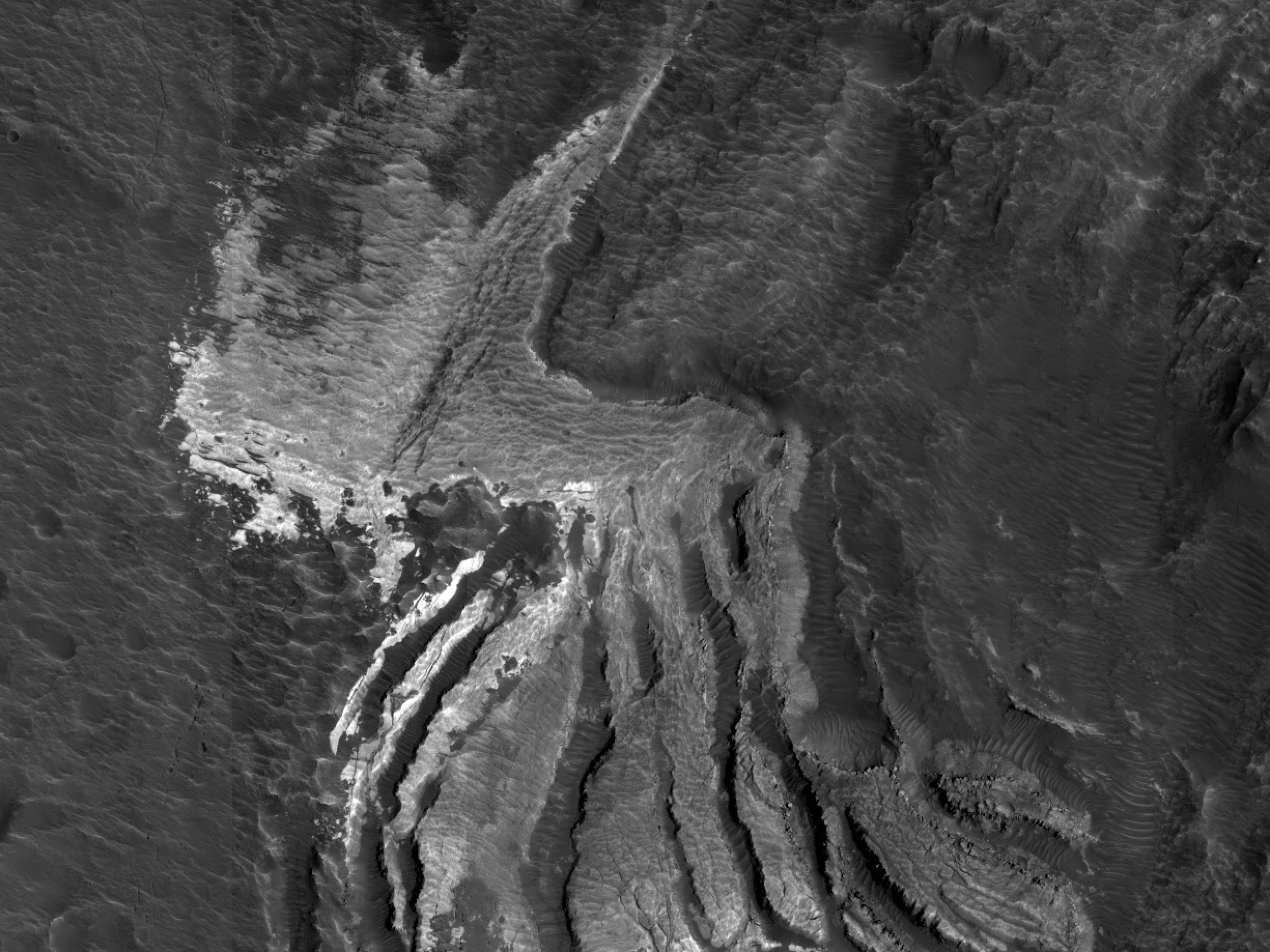 A Woodpecker on Mars?
