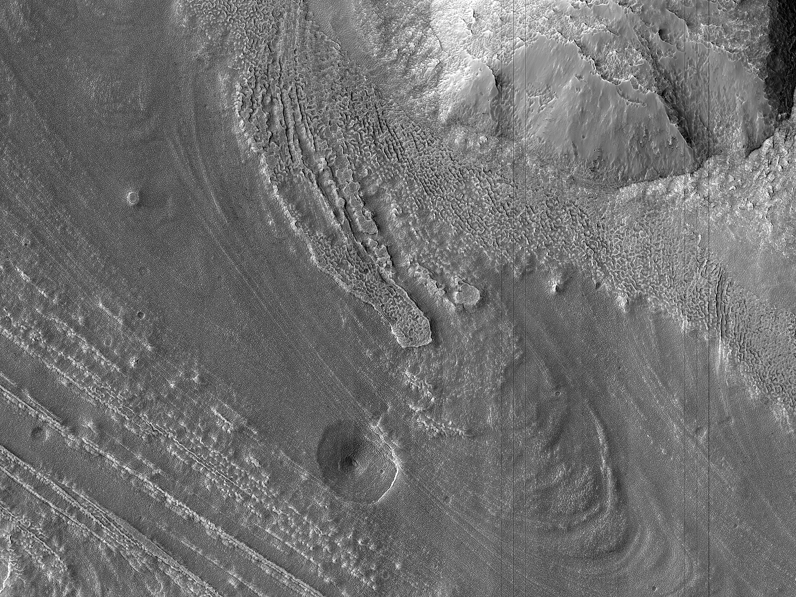 Icy Flow in Protonilus Mensae
