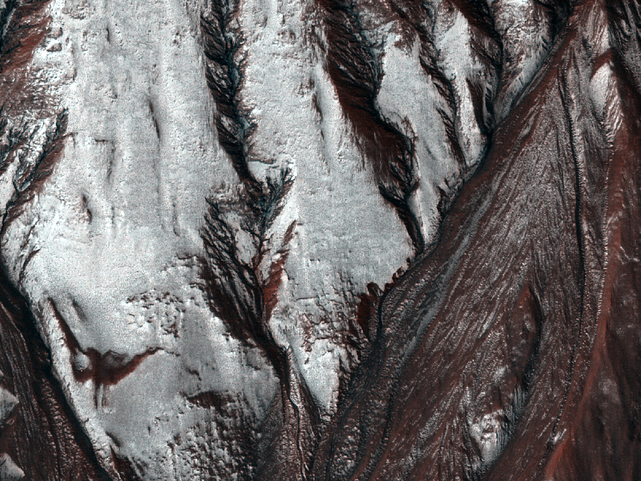 Frost Covered Gullies of the Red Planet