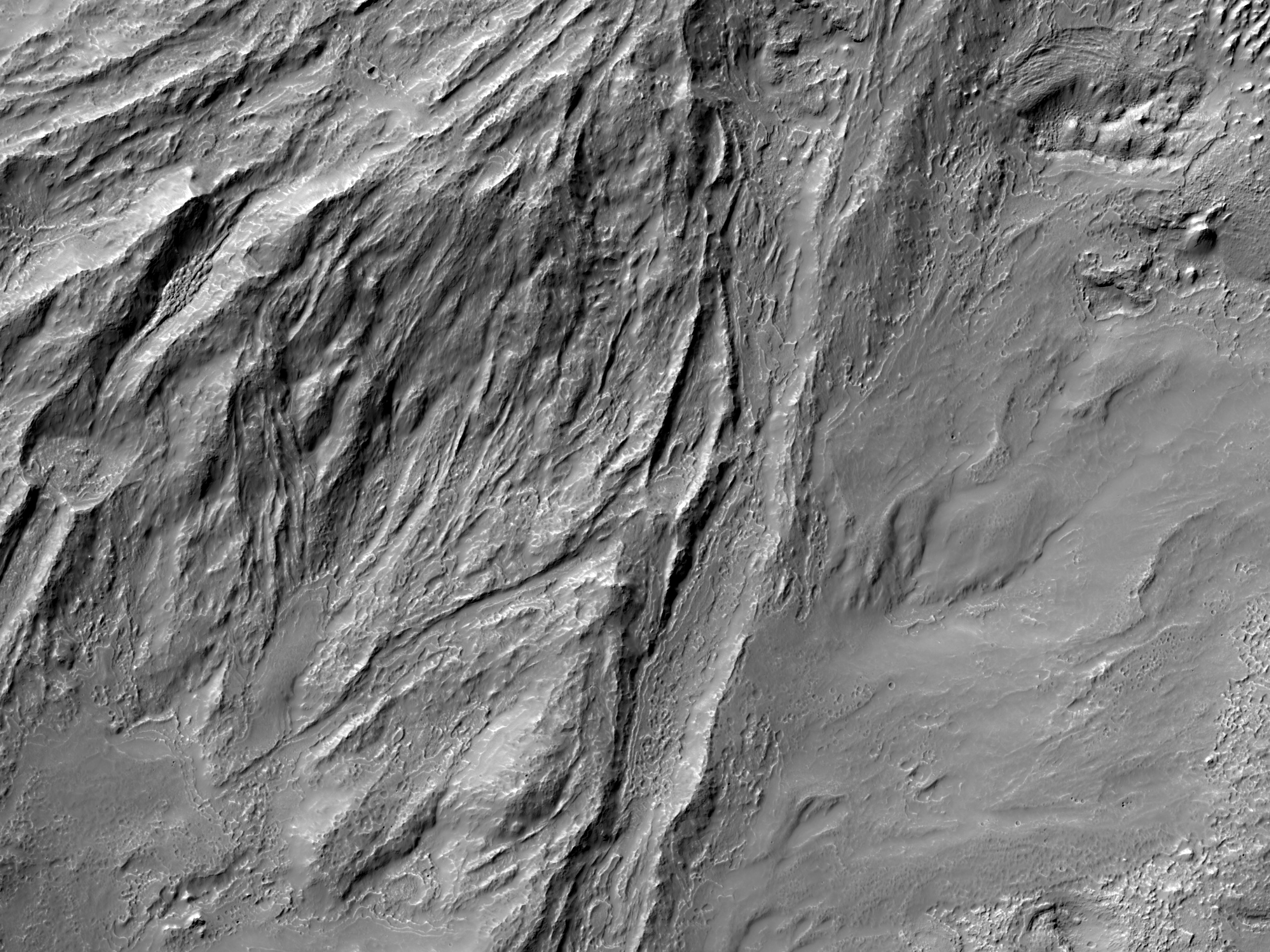 Debris Flows on Mars