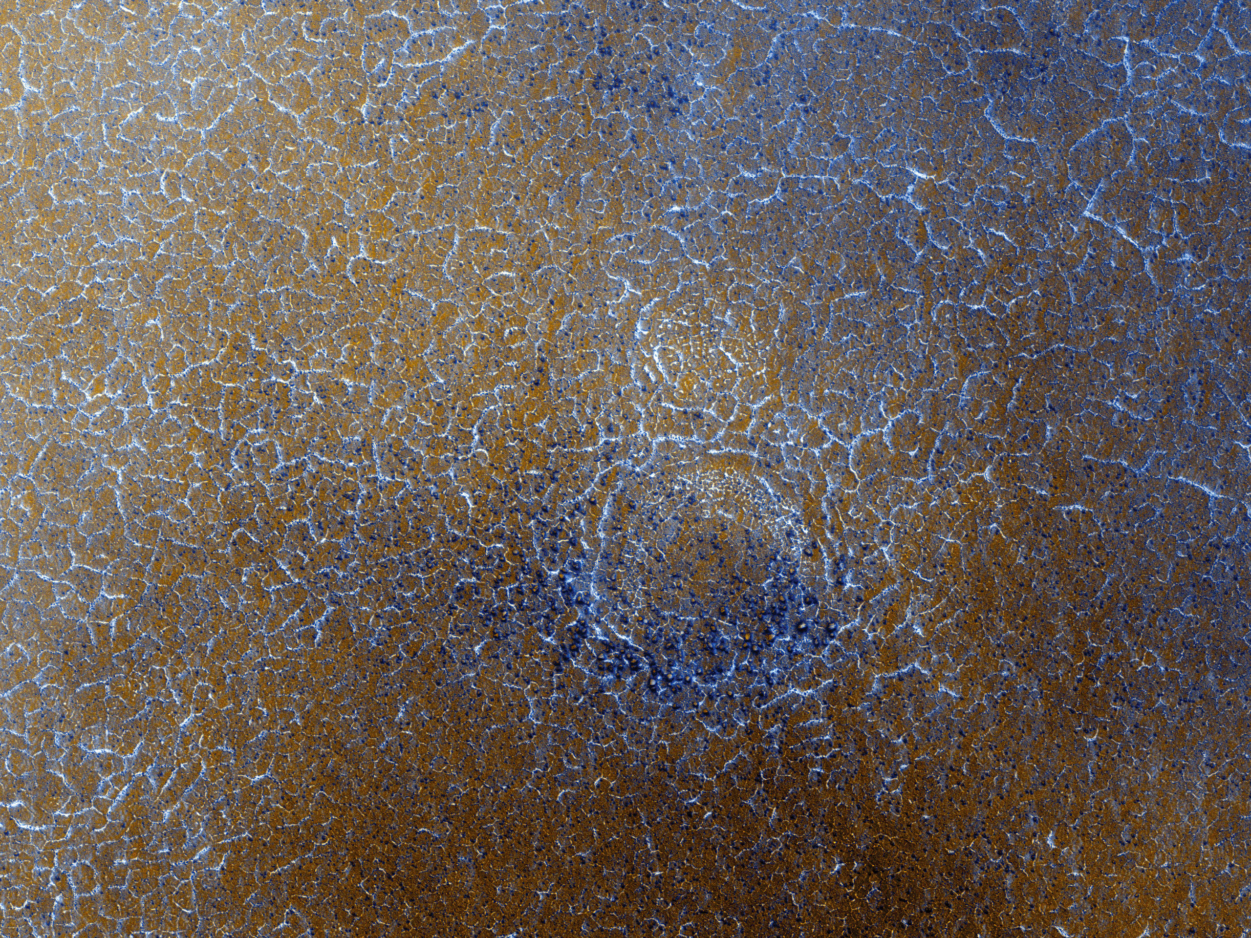 Spring Frost on a Cold World