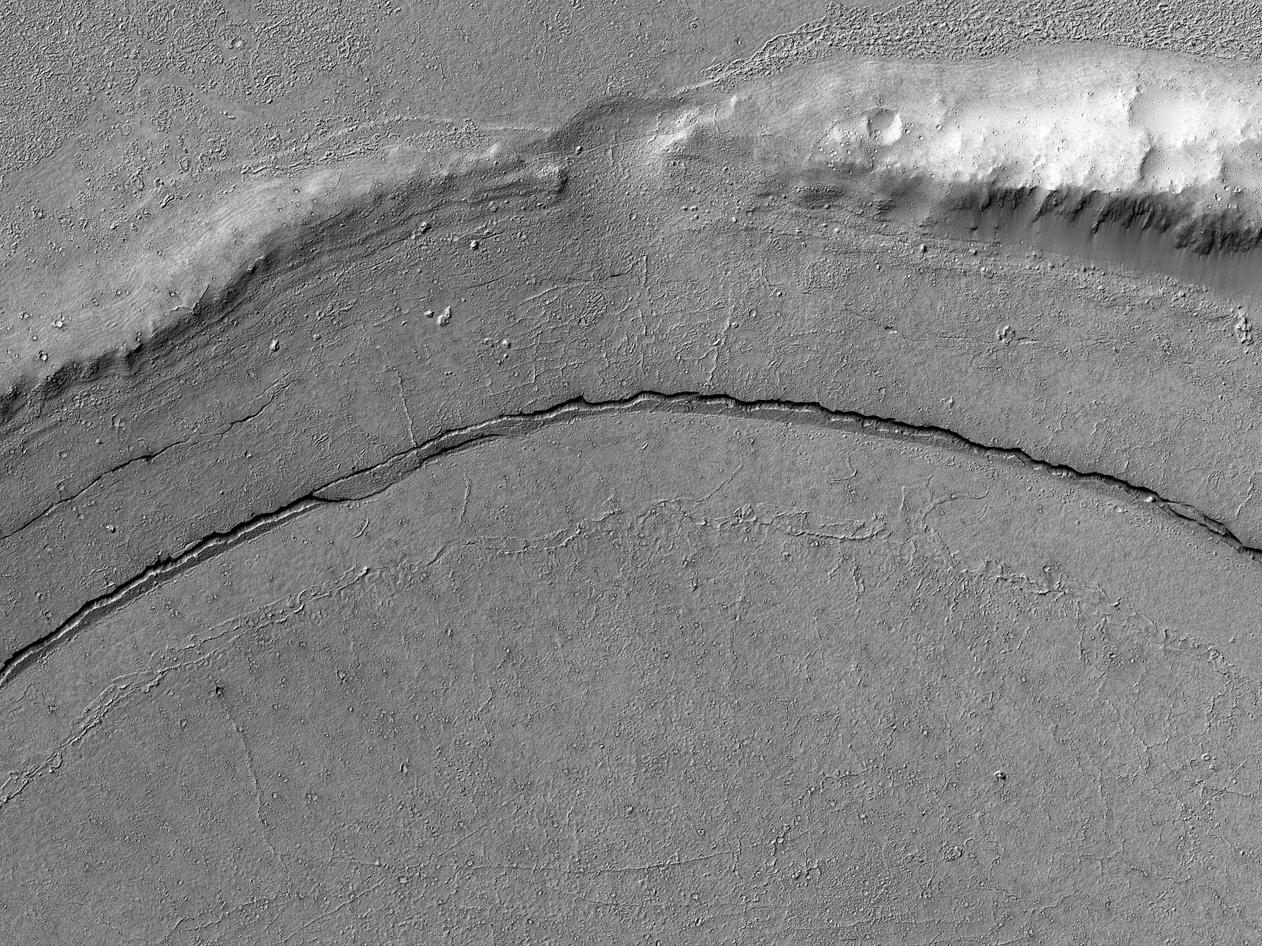 A Lava-Filled Crater in Elysium Planitia