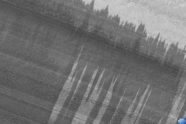 Layering in North Polar Troughs
